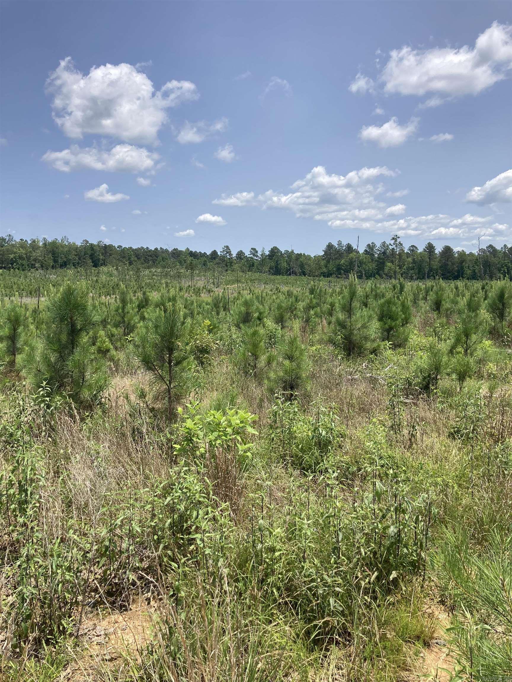 60 Acres MOL! Beautiful! Can be sold as whole or subdivided. Buy 60, Buy 30, Buy 12, Buy 10, Buy 9, Buy 7, or Buy 3! So many options available! $15,000 an acre for 3-7 acre tracts...$12,000 an acre for 7-9 acre tracts! $10,000.00 for 10 to 15 acre tracts. $8500 an acre for 30 acres and $8000 an acre for anything over 30 acres. Multiple Buildable Homesites! Private! Serene! Jessieville School District! Wildlife Galore! Minimal Restrictions. Manufactured Homes Allowed 5 years old and newer! Easily accessible utilities with Entergy and North Garland County Water at Road! Perk test and survey will be provided! **Address is Approximated