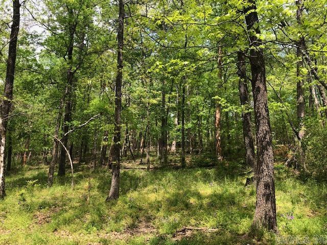 Metes & Bounds - Residential Income