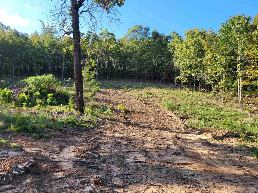 Enjoy the peace of country living on this unrestricted 1.8 acre lot in rural Faulkner county. There are no restrictions and mobile homes are allowed. Property has county water. Will need septic. Call today for more details.