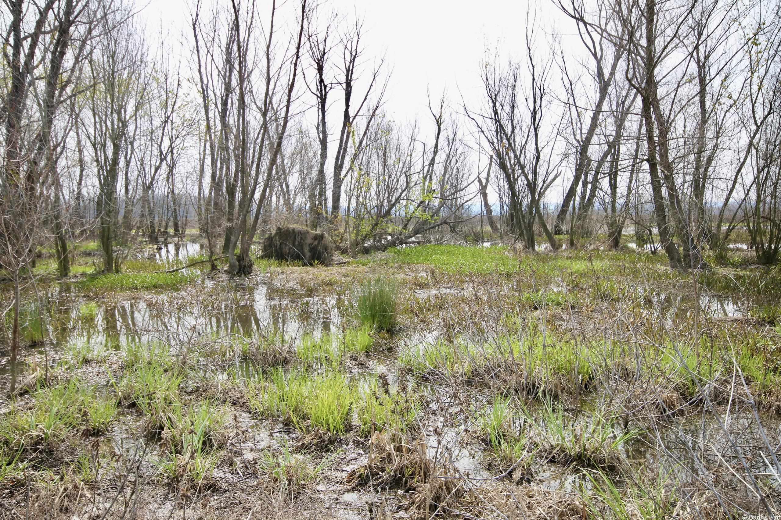 Not in Subdivision - Land