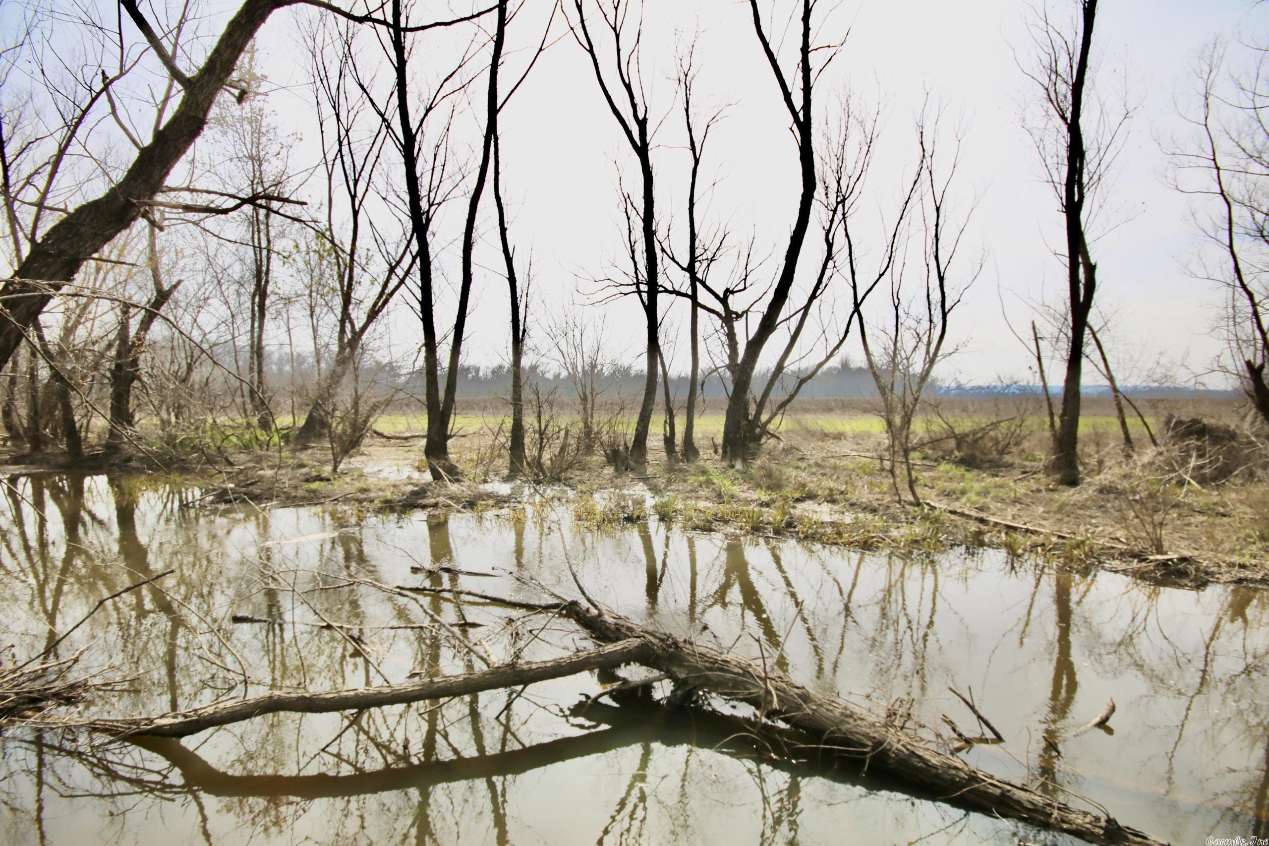 Not in Subdivision - Land