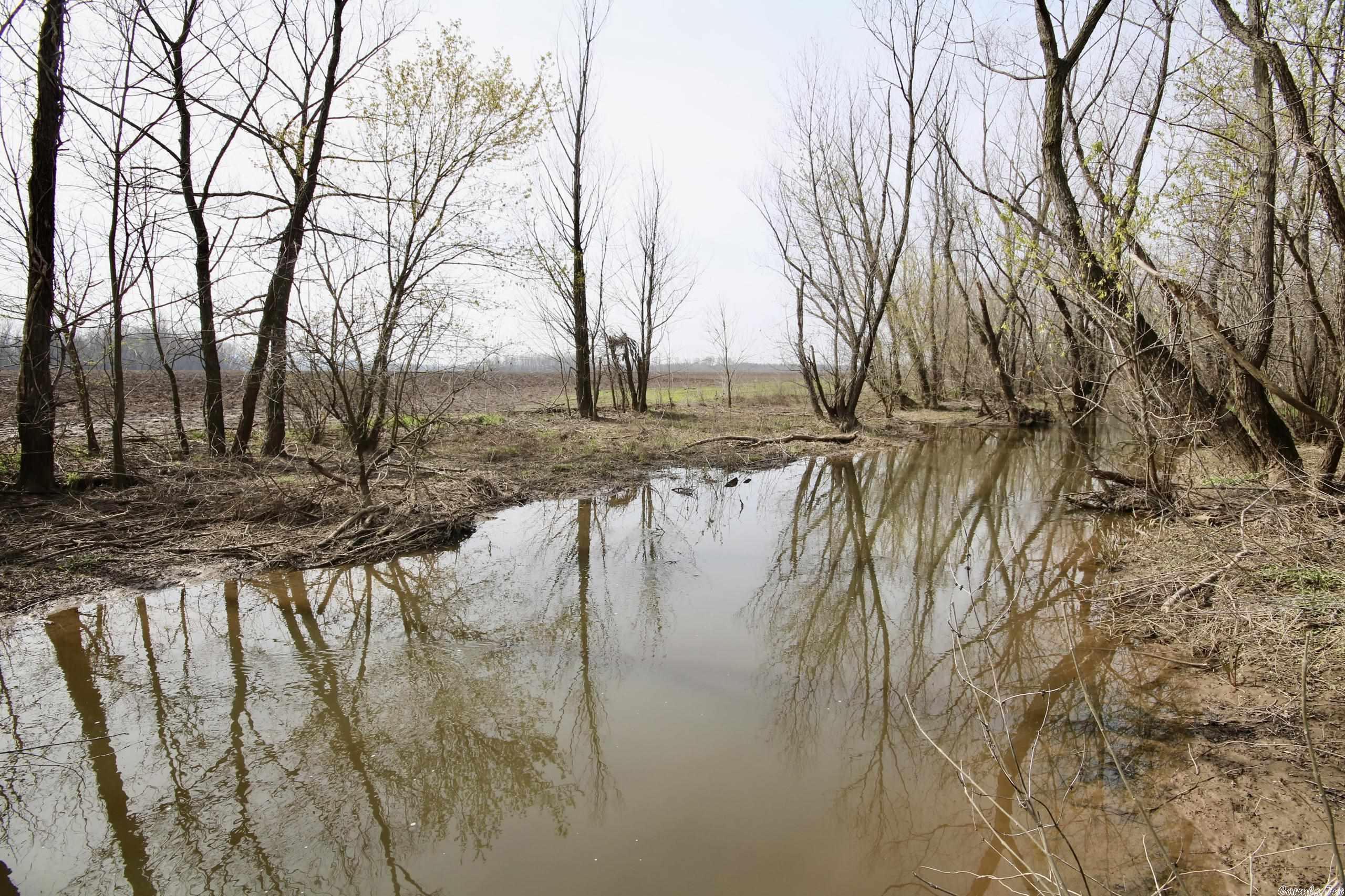 Not in Subdivision - Land