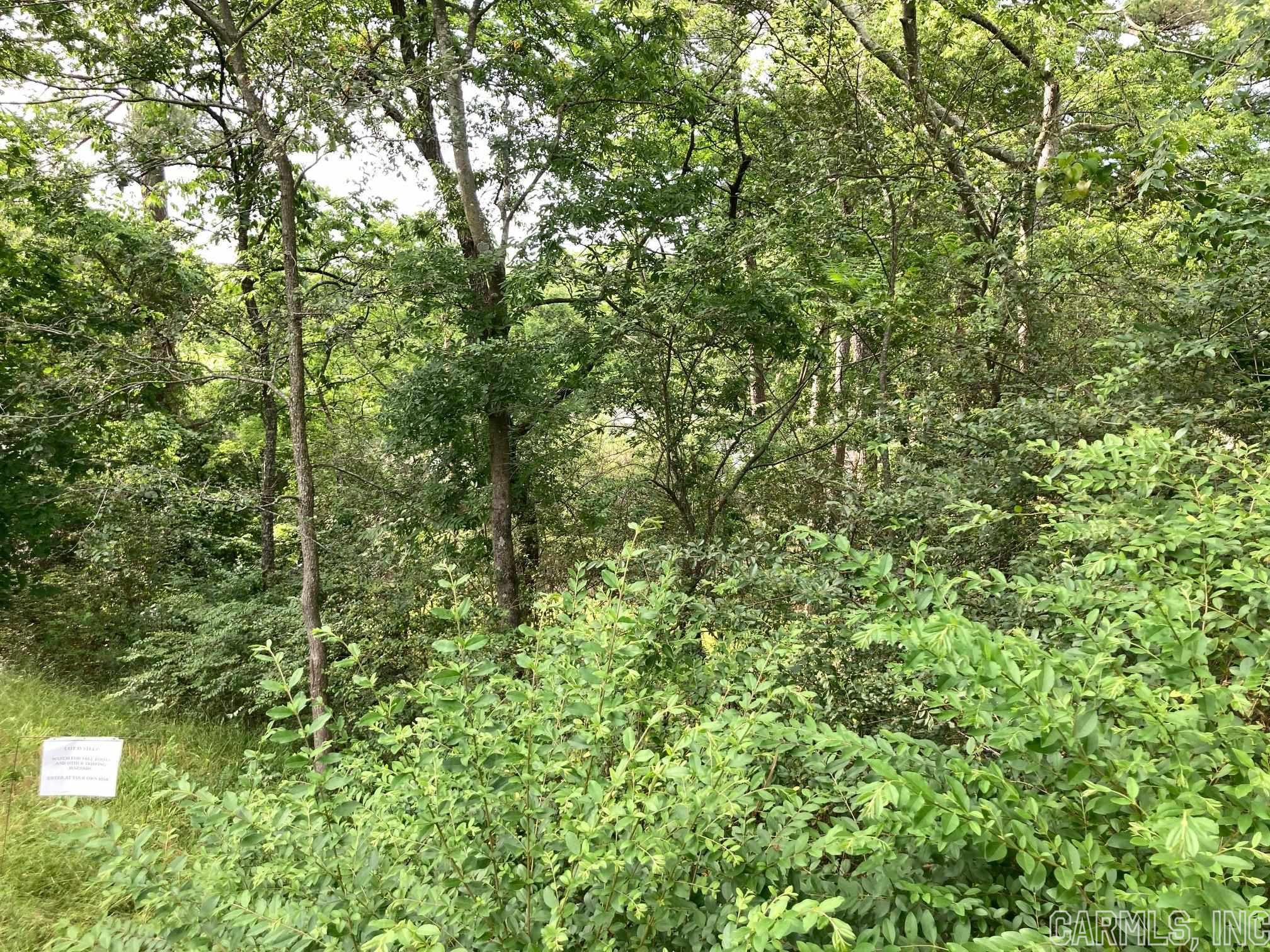 Kimball Bodeman - Land