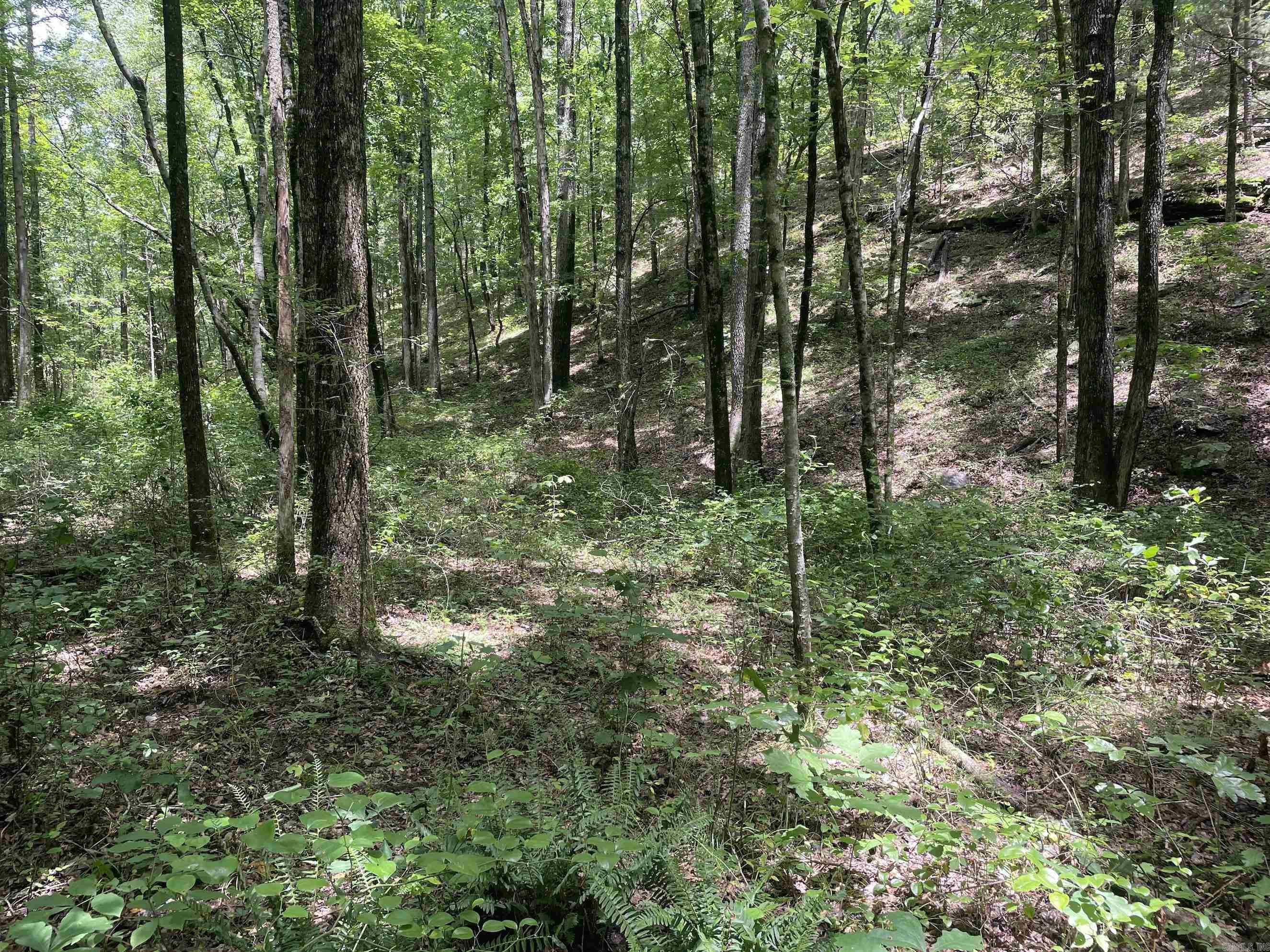 Not in Subdivision - Land