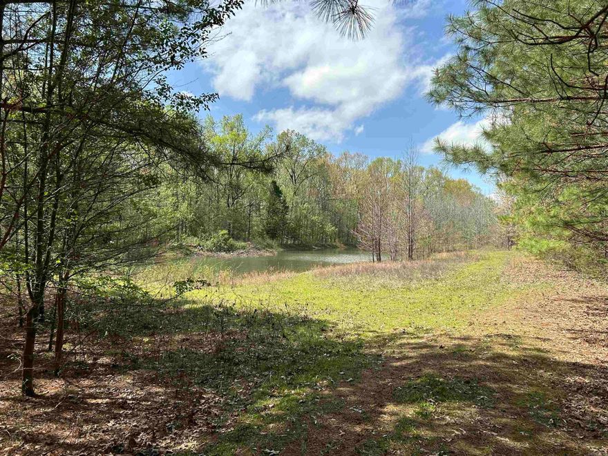 19.88 +/- acres located just outside Vilonia, Arkansas.  Paved road access to the property entrance gate, approximately 660' +/- of paved road frontage.  Electricity on the property, 4.1 acres +/- of pine timber, 15.78 +/- acres of hardwood timber. Dirt road/trail access through the property (suggest ATV/UTV). Property is 19.88 +/- acres existing in two parcels which form a larger rectangle. Excellent building site for those who want the relaxed atmosphere of country living with a short commute to the city.