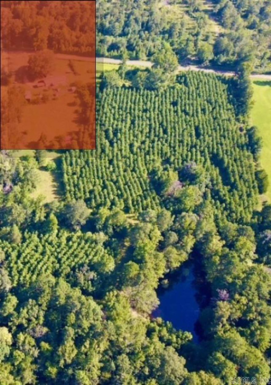 Discover approximately 10 acres of rural land ideal for your future home place. Located on a quiet backroad with county road frontage, this property offers both privacy and convenience. Features include a pond, an established 8–9 year old pine plantation, and high-speed internet availability. Whether you’re looking for a peaceful homestead, recreational retreat, or investment in timber, this property provides endless possibilities!! Minerals negotiable.