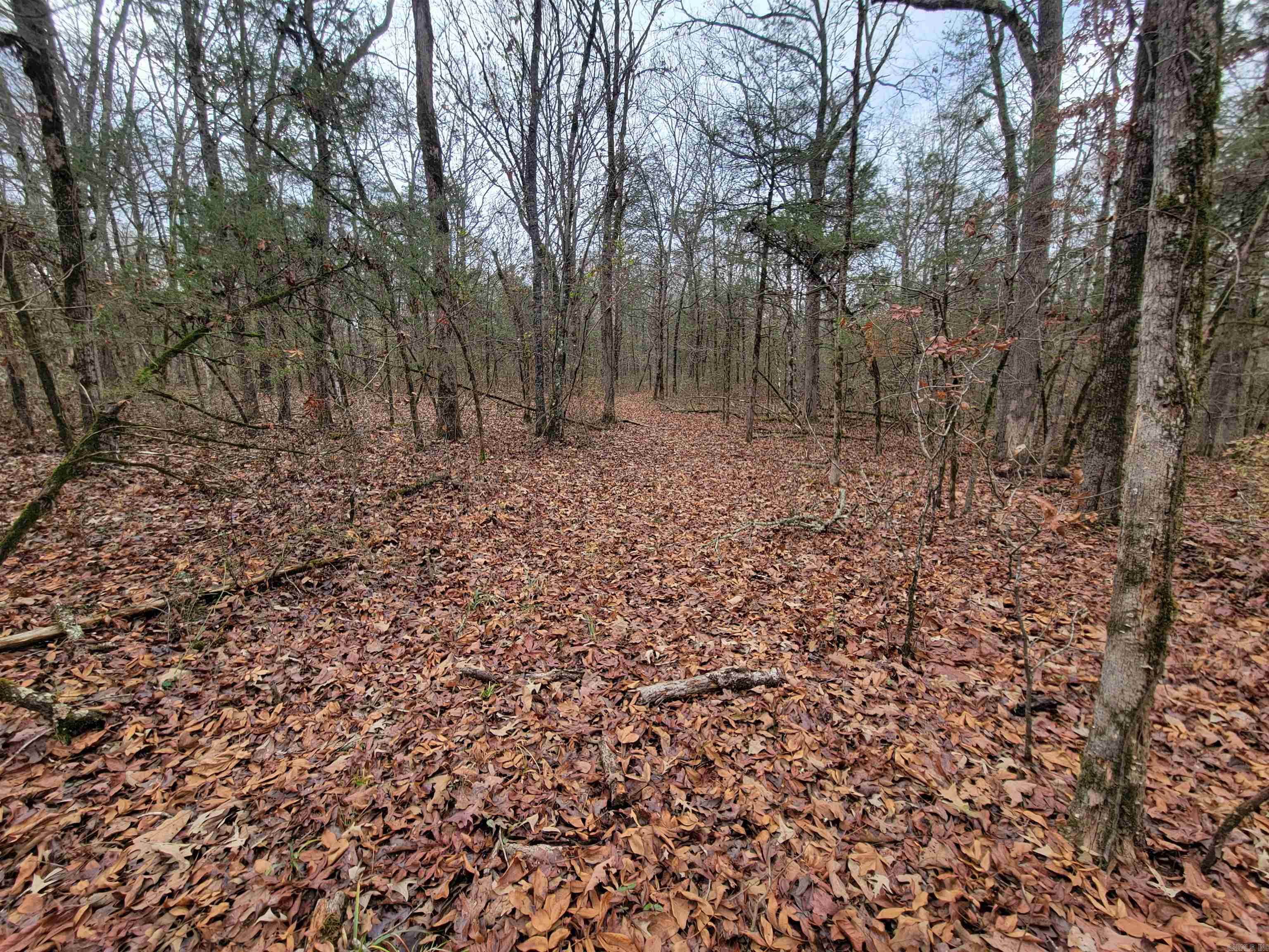 Metes & Bounds - Land