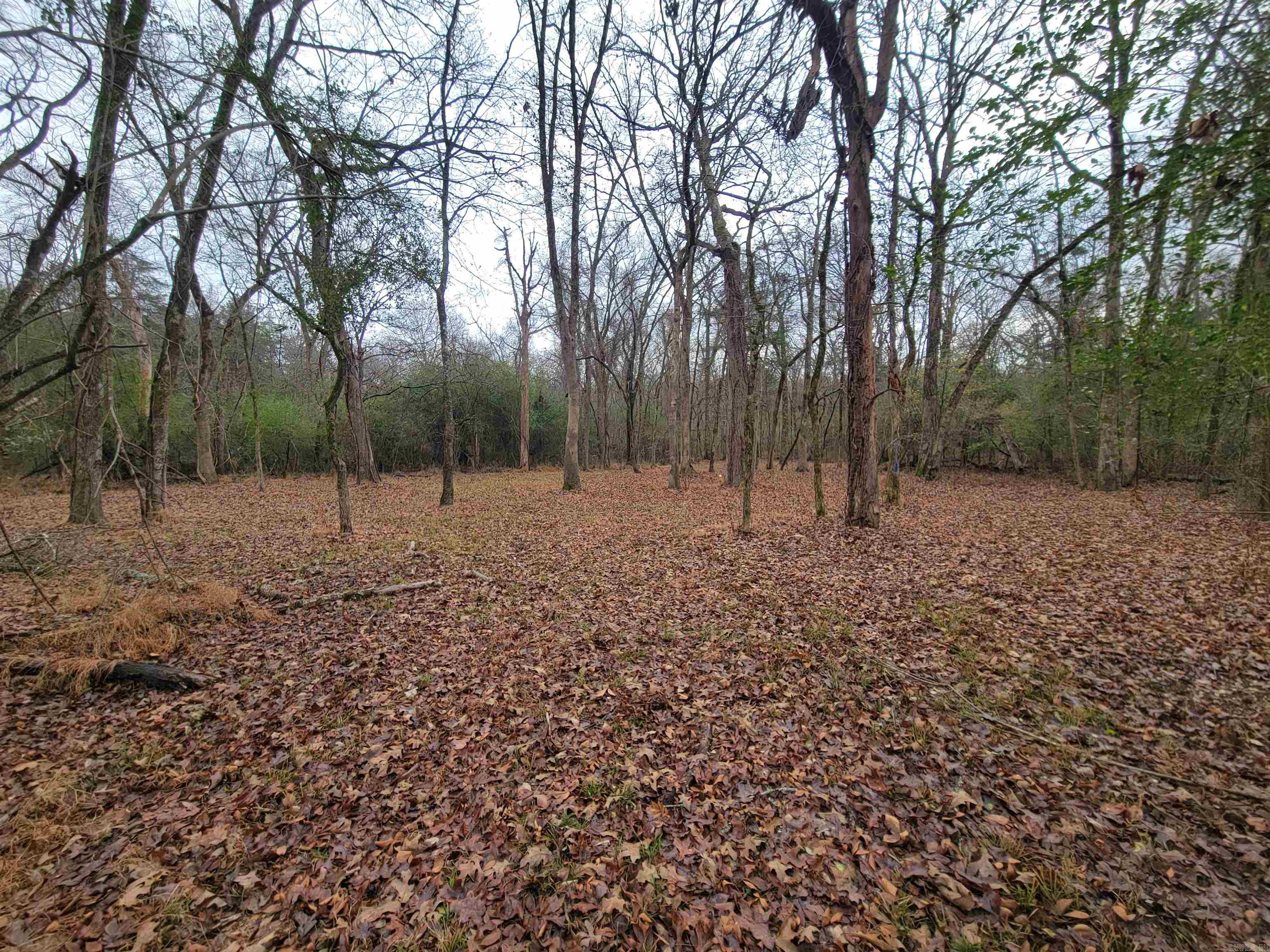 Metes & Bounds - Land