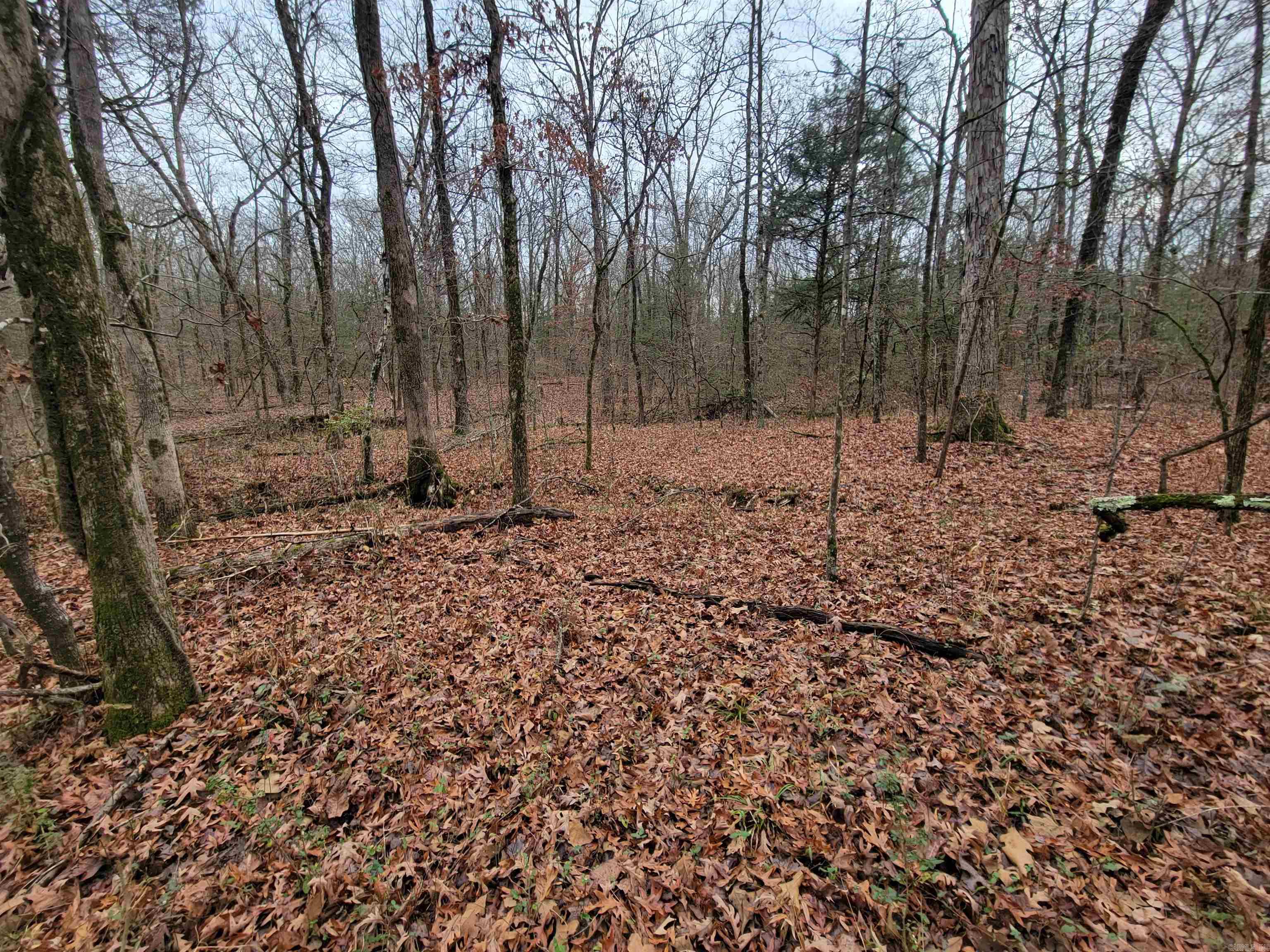 Metes & Bounds - Land