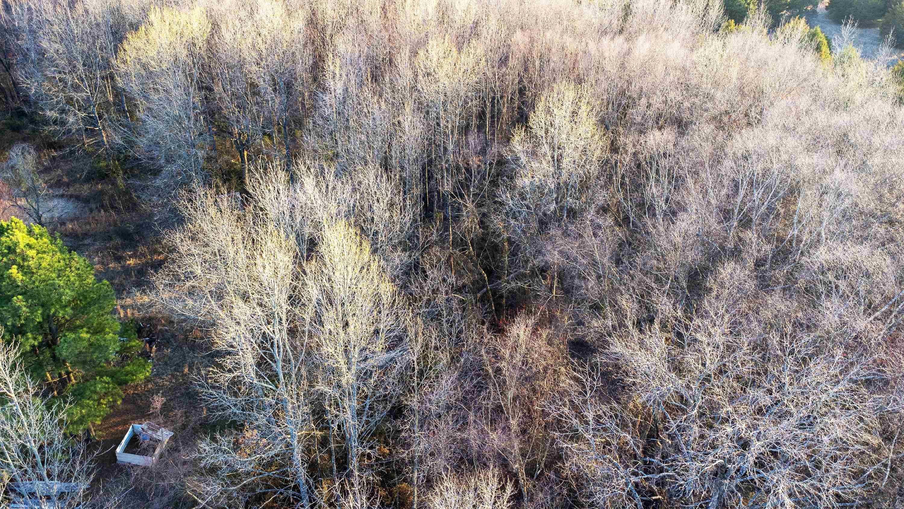 Minidean Estates - Land