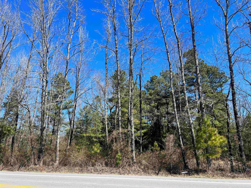 2 Acre lot outside city limits with no restrictions! Utilities at the road.