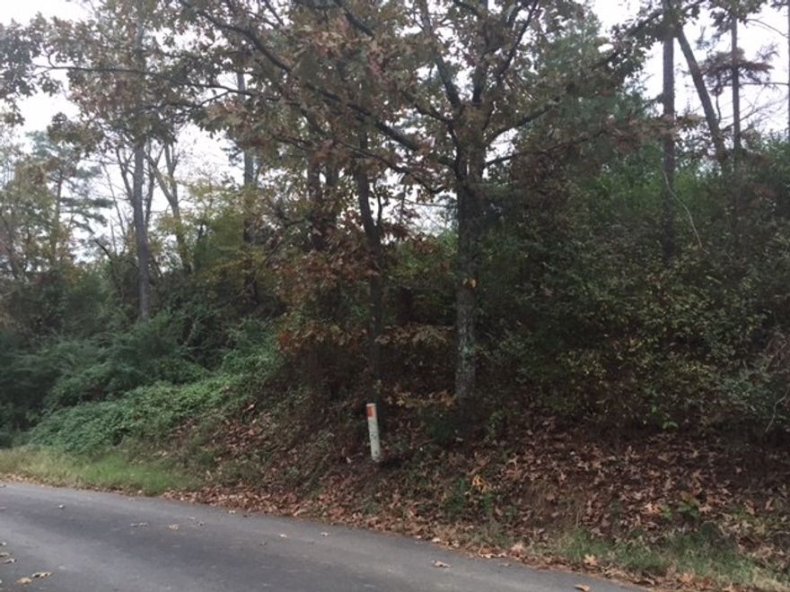 Perfect for a weekend getaway, 2 Lots, possible view of Lake Conway, close to local boat launch. See MLS 15031790 on Fred Lane as these two lots adjoin this. Status of utilities unknown. Property to be sold "as-is", "where-is", no disclosure, no repairs, no warranties or environmental warranties from seller. Seller has never occupied the property. (See agent remarks.)