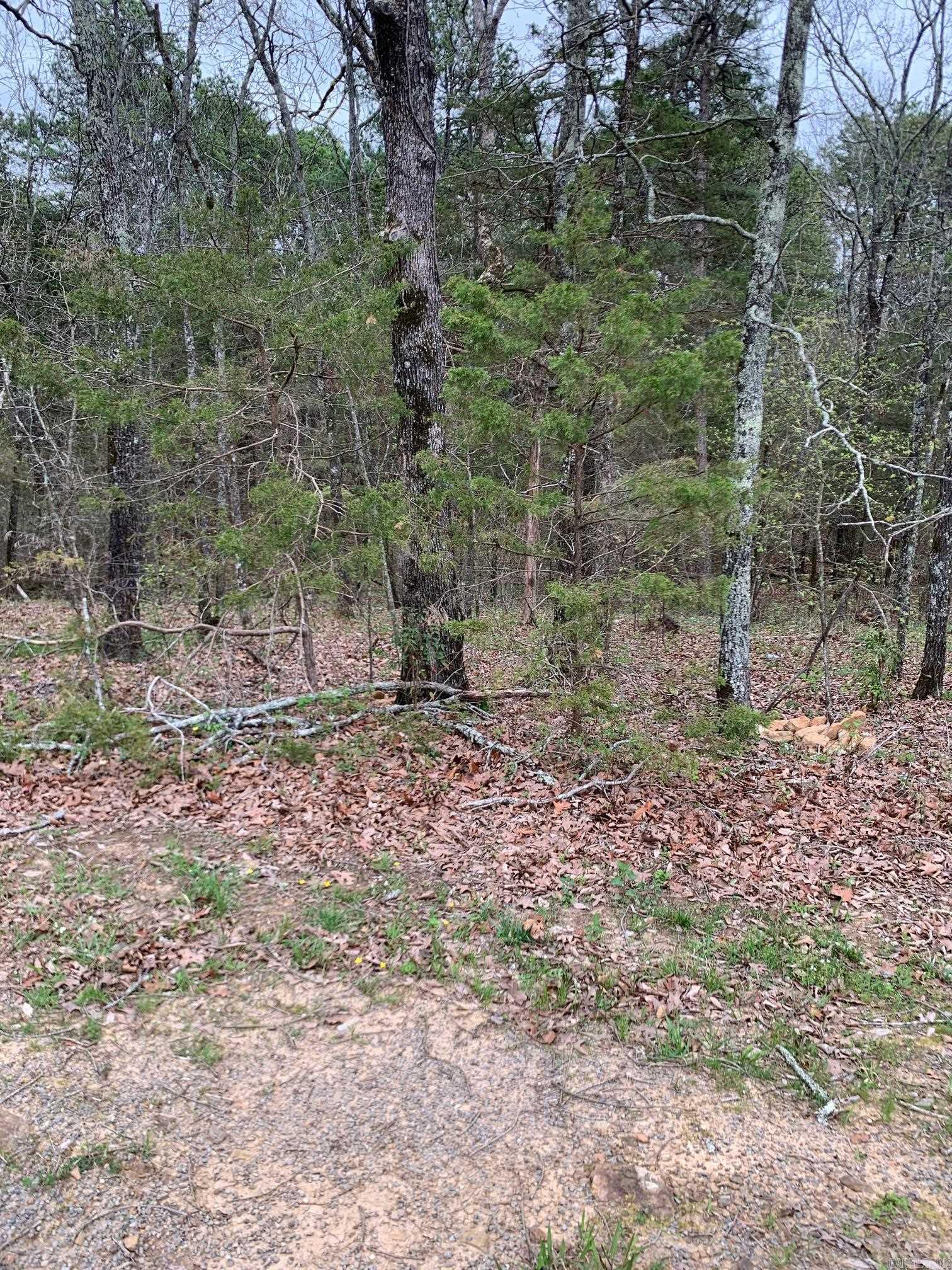 1 acre lot located in Castle Ridge Subdivision. Perfect lot to build your dream home. Indian Hills Golf Course is across the street. Community sewer line is in place, with underground utilities. Come take a look.