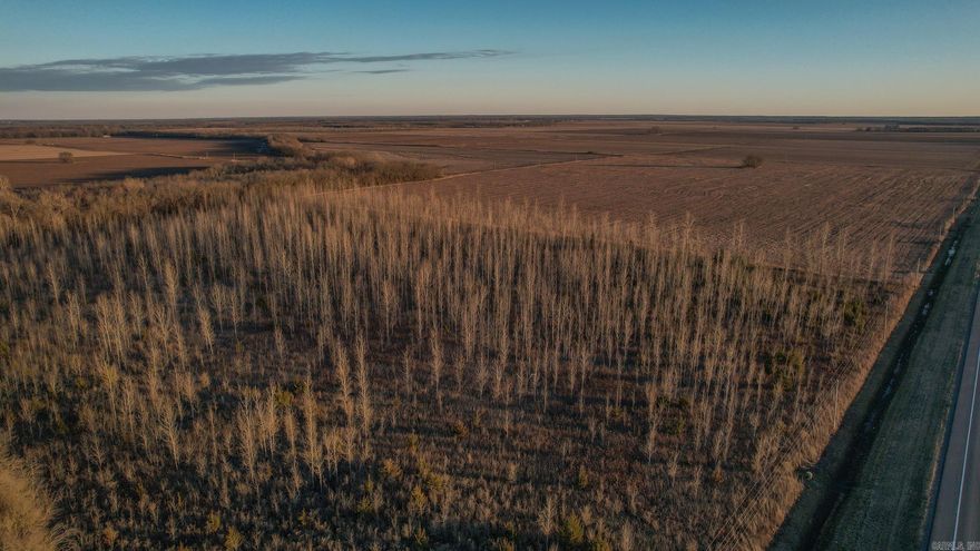 This tillable acreage has highway frontage and planted sycamore trees on the north side. There is electricity available at the highway. Would make a great place to farm or cut for hay.