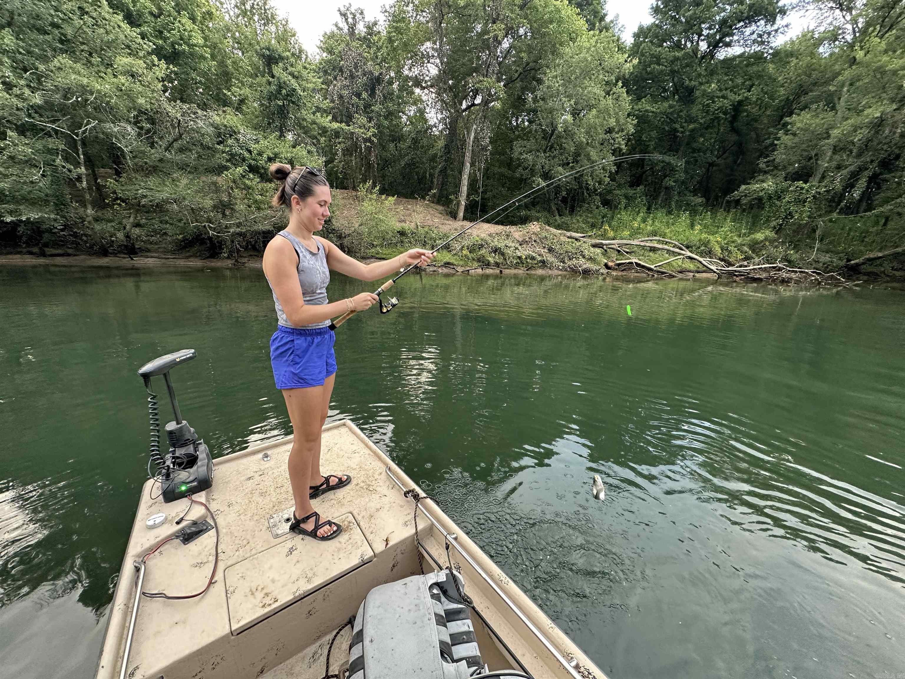 1.16 acres m/l of trout fishing on your riverfront property on the Little Red River just 3 miles from Pangburn. (Lot #11. See map.) World class trout fishing right outside your back door! This stretch of the Little Red River is known for both quality and quantity of trout. There are numerous rainbow trout and brown trout that call this stretch of the river home. You even have access to your own private boat launch! This property boasts access to your own private, gated boat launch. Located 3.2 miles upstream from the Ramsey's Access, and 2.6 miles downstream from the Dripping Springs Access. If you know, the Little Red River is home for many aquatic species, and also many other species unique to a tailwater ecosystem. It's not uncommon to see bald eagles, river otters, whitetail deer, turkey, and a multitude of migrating waterfowl. There are many resident Canada geese and wood ducks! It's truly a sportsman's paradise. This riverfront property is tucked away and protected by large, mature pine trees on the north side, and the Little Red River on the south side. For you lake lovers, you're 15 miles from the Dam Site boat launch on Greers Ferry Lake!