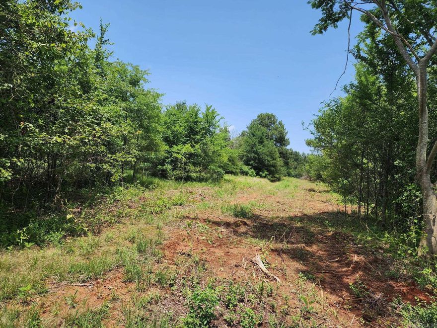 10.48 acres split off from a 24 +/-acre tract with frontage off Center St. & is located across from Country Club. Ideal to build a house with privacy in a great area. Water & electric are at the roads. Seller retains all mineral rights.