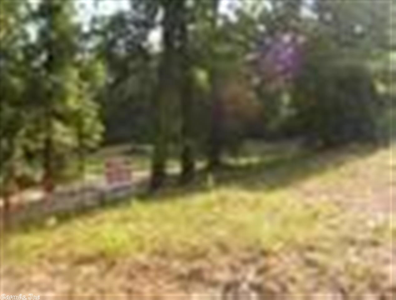 Beautiful property. Small portion is cleared. Beautiful hardwoods. Property is located close to the new bypass "South Loop" that they are going to build.