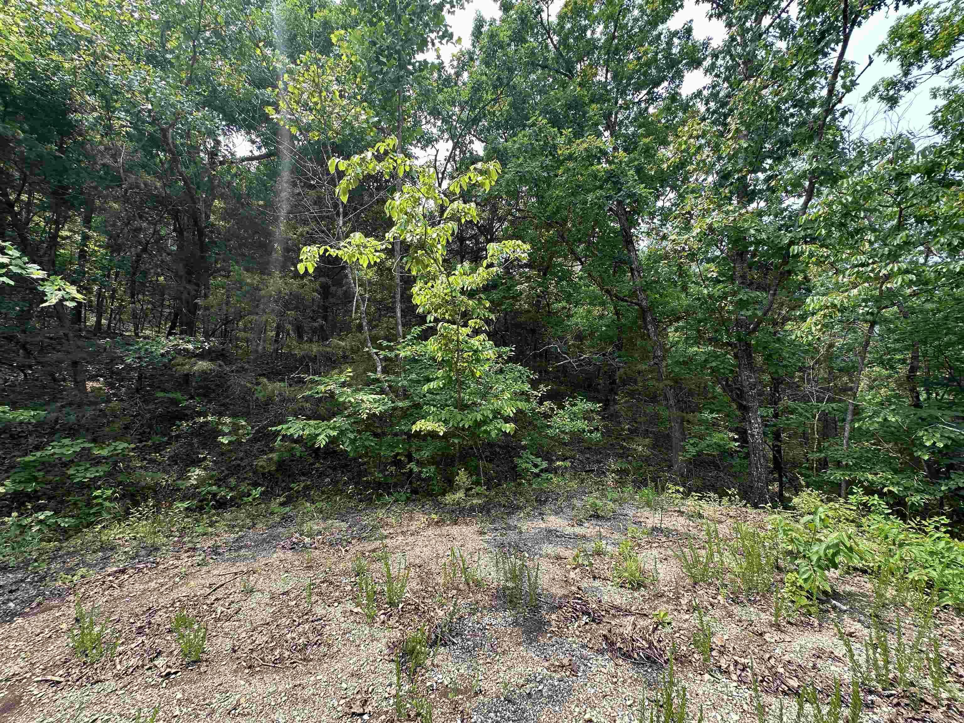 TWIN RIVERS ADDITION - Residential