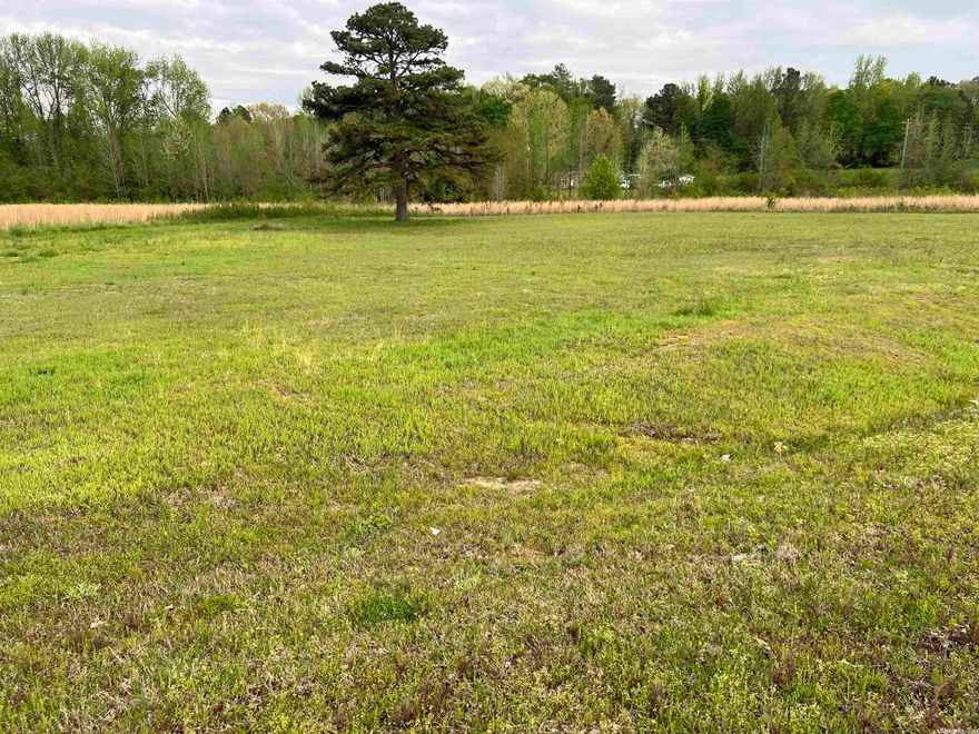 Plenty of potential for this beautiful property. Cleared with driveway already in place. No restrictions, minutes from Searcy city limits. Convenient to interstate. Call today for your personal tour.