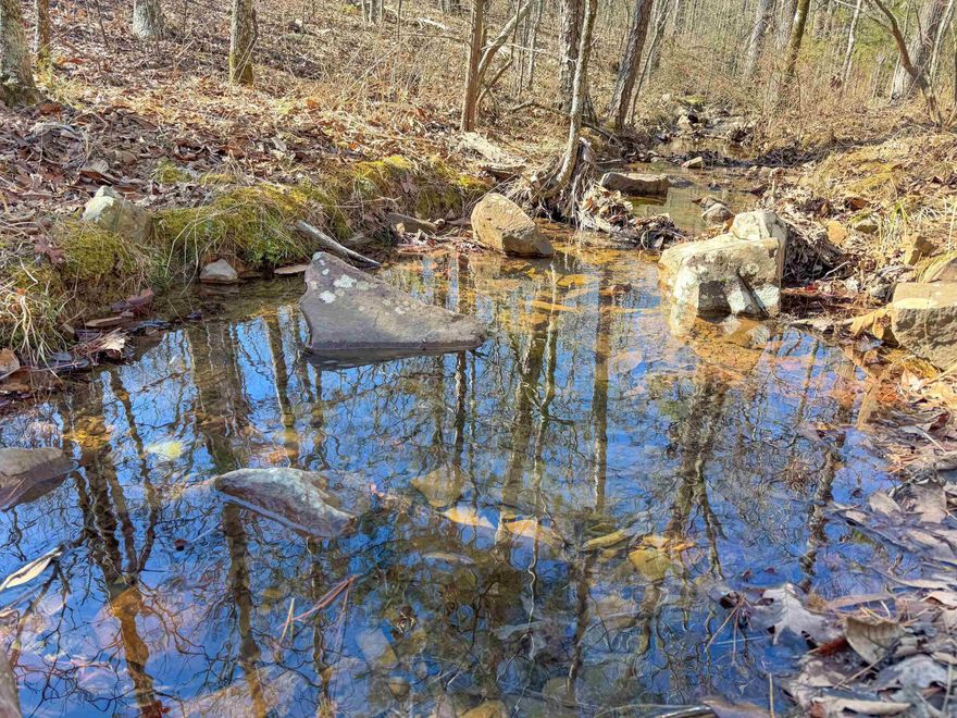 Beautiful lot in High Point Subdivision located in the Arkansas River Valley, just four miles northwest of Mayflower and less than 10 minutes from the nearest on-ramp to I-40. The subdivision is private and tucked away on a dead-end county road. This lot is 3.31 acres. The land is very buildable with a slow downward slope from the road. At the very back, a portion of Beaverdam Creek cuts through the property. This tract has lots of oak and hickory trees as well as few winged elms, Deerberry shrubs, muscadine vines, and wild blackberries. It’s common to see abundant wildlife, including white-tailed deer, rabbits, gray squirrels and many species of birds.  There are several very nice homes along the ridge, with residents whom all have the self-sufficiency of their own water wells. Minimum building square footage is 1,450 and no mobile homes are allowed. More lots are available.