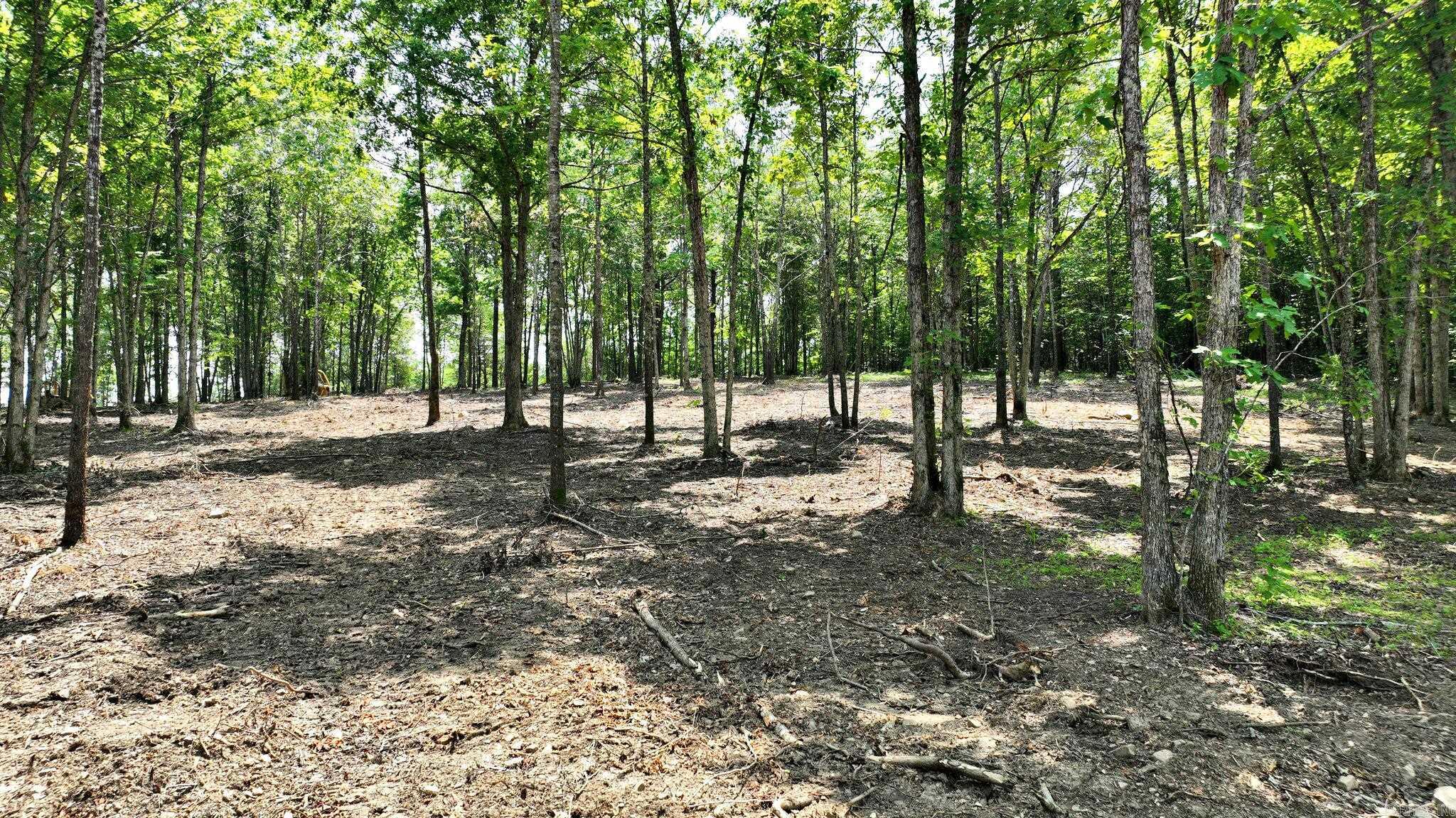 Unspoiled Wooded Beauty! Discover your private escape on this gorgeous 10.13-acre wooded tract, tucked away at the end of a deeded easement for added seclusion and serenity. Nestled in nature, this property offers an ideal home site overlooking a seasonal creek, perfect for enjoying the tranquil sounds of flowing water right from your porch. Located at the back of the land for maximum privacy, the home site boasts scenic mountain views, making it an ideal setting for a weekend retreat, homestead, or your forever home. Towering trees, natural beauty, and abundant wildlife set the scene for peaceful country living. A good spring on the property offers potential for water use or gardening, and with electricity nearby, development is more convenient. Whether you're looking to build, hunt, hike, or simply unwind in nature, this property offers unmatched tranquility and potential. Two additional 10 acre tracts available.
