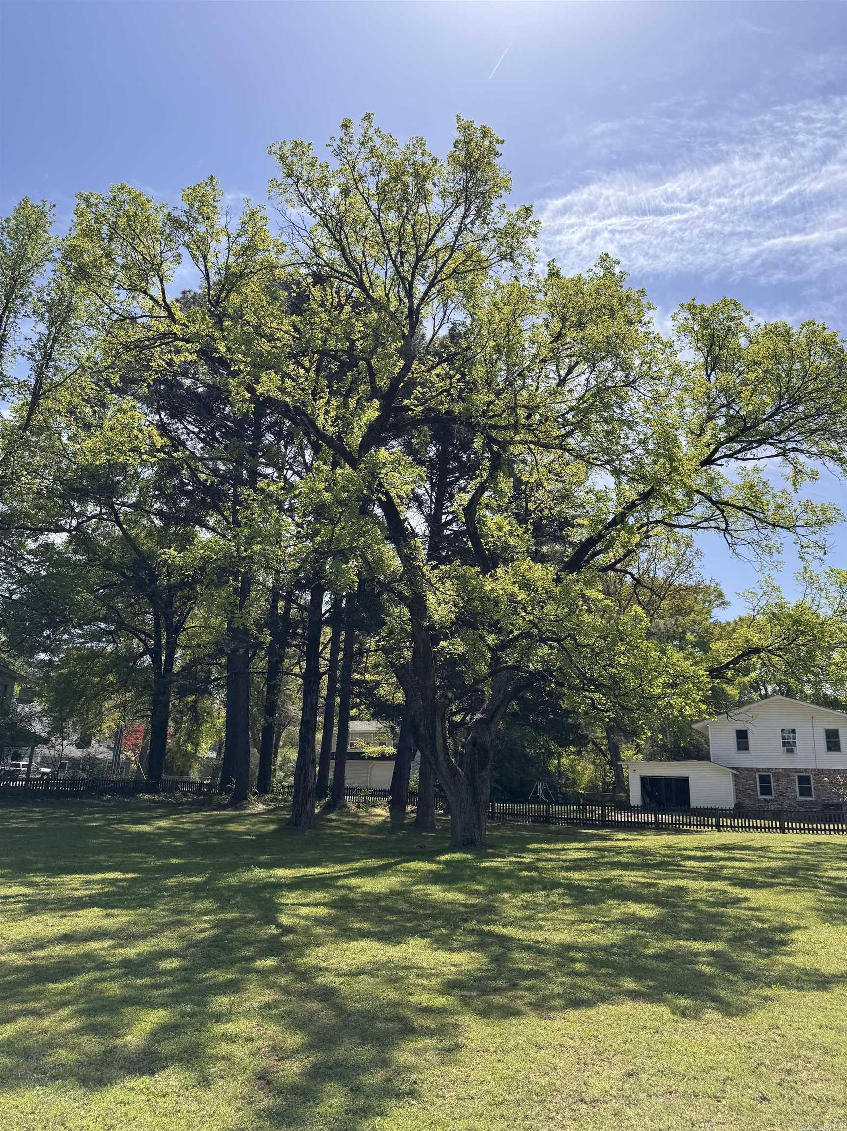 Sunny Hill - Residential