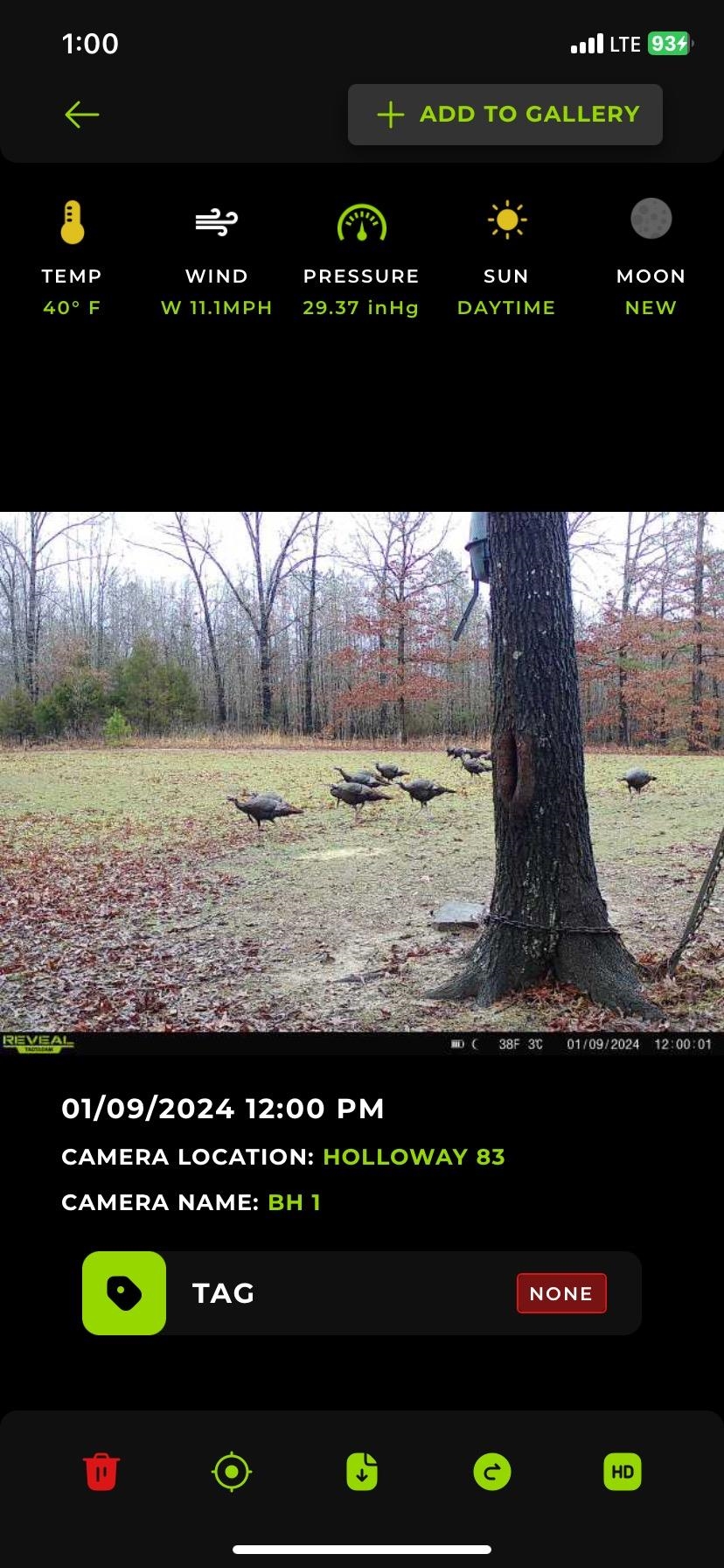 Metes & Bounds - Land