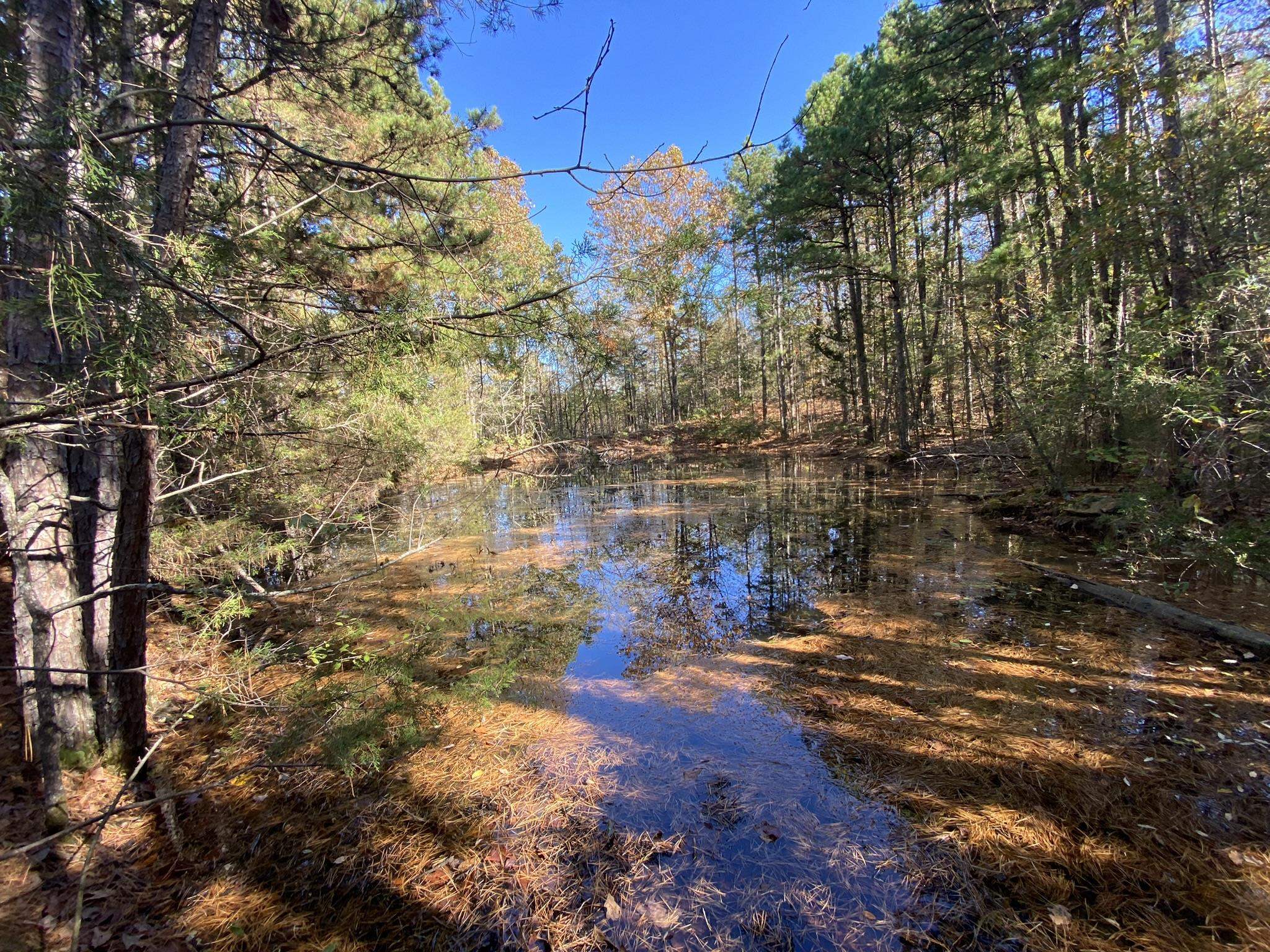 Metes & Bounds - Land