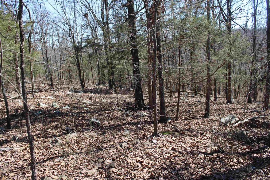 This is a gem of an opportunity! This lot is nestled in a well established and desirable neighborhood that sits among mature trees, while still offering convenient access to town. It is located less than 2 miles from Walmart and just minutes from local favorites like Chef Candace and Fire & Stone. Build your dream home here and enjoy the peaceful setting without sacrificing convenience. *See associated docs.  But why buy one lot when you can have two?? It's neighbor is for sale too! (MLS#493006) Two large, side-by-side lots are available in Cabot’s beautiful Deer Creek subdivision. Opportunities like this don’t come along often!