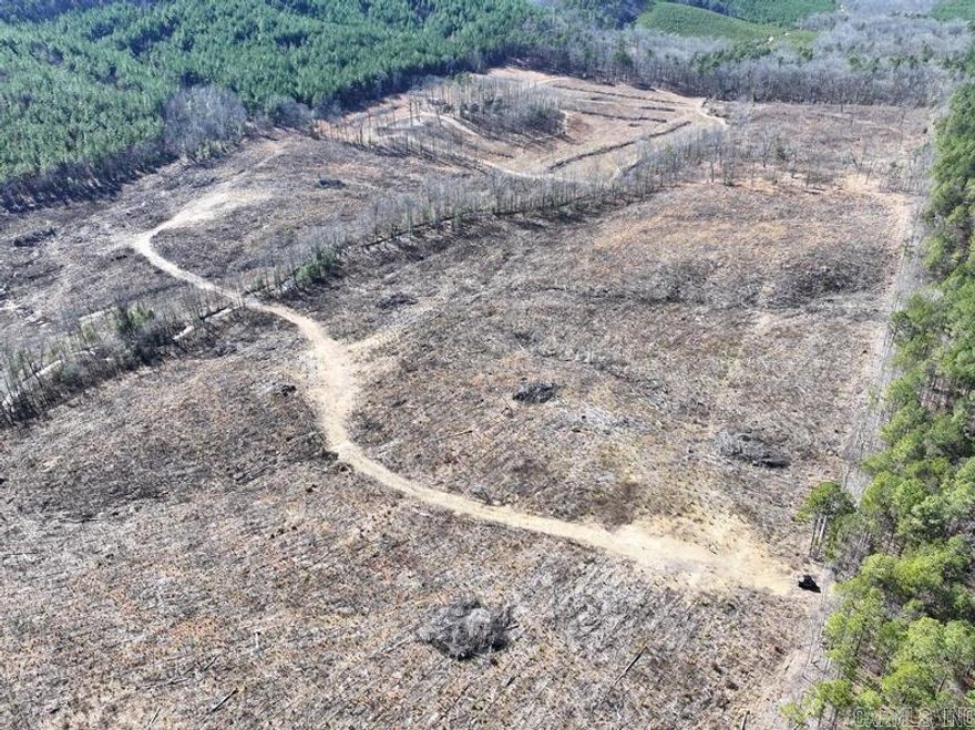 40 acres m/l of young Pine plantation.  Property was site prepped with ripping, spraying and then planted.  Great Hunting/Recreational property!  property is accessed through a locked timber company gate. Electric is available from the neighboring property.  No Rural water available.  The West Fork of the Rolling Fork river runs through this property.  nice Building sites with a good view of the Cross Mountain and Whiskey peak Tower.  See agent remarks!