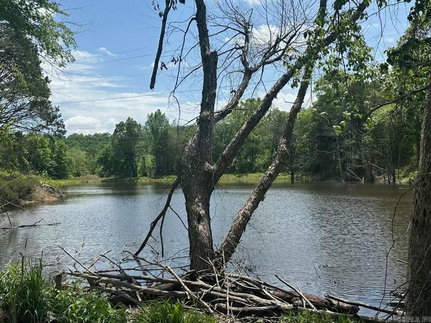 Beautiful 60 acre rural tract of land surrounded by dense mature forest with two ponds and gentle hills with two cleared scenic areas for your dream home. Road into property already in place with utilities available. If your not looking to build, great place for a hunting lease!! Mineral Rights Do Not Convey Agents see remarks