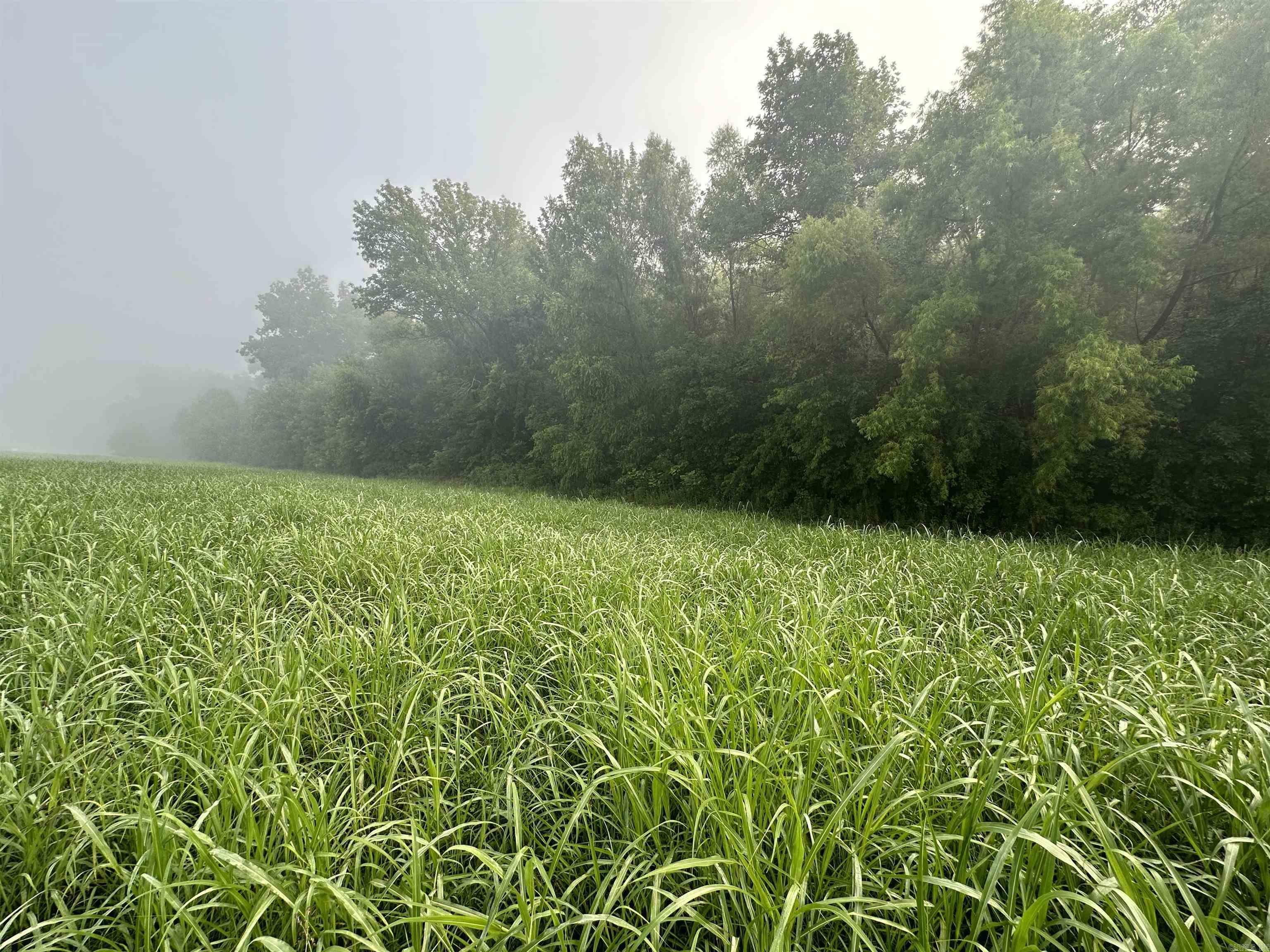 White River Run - Land