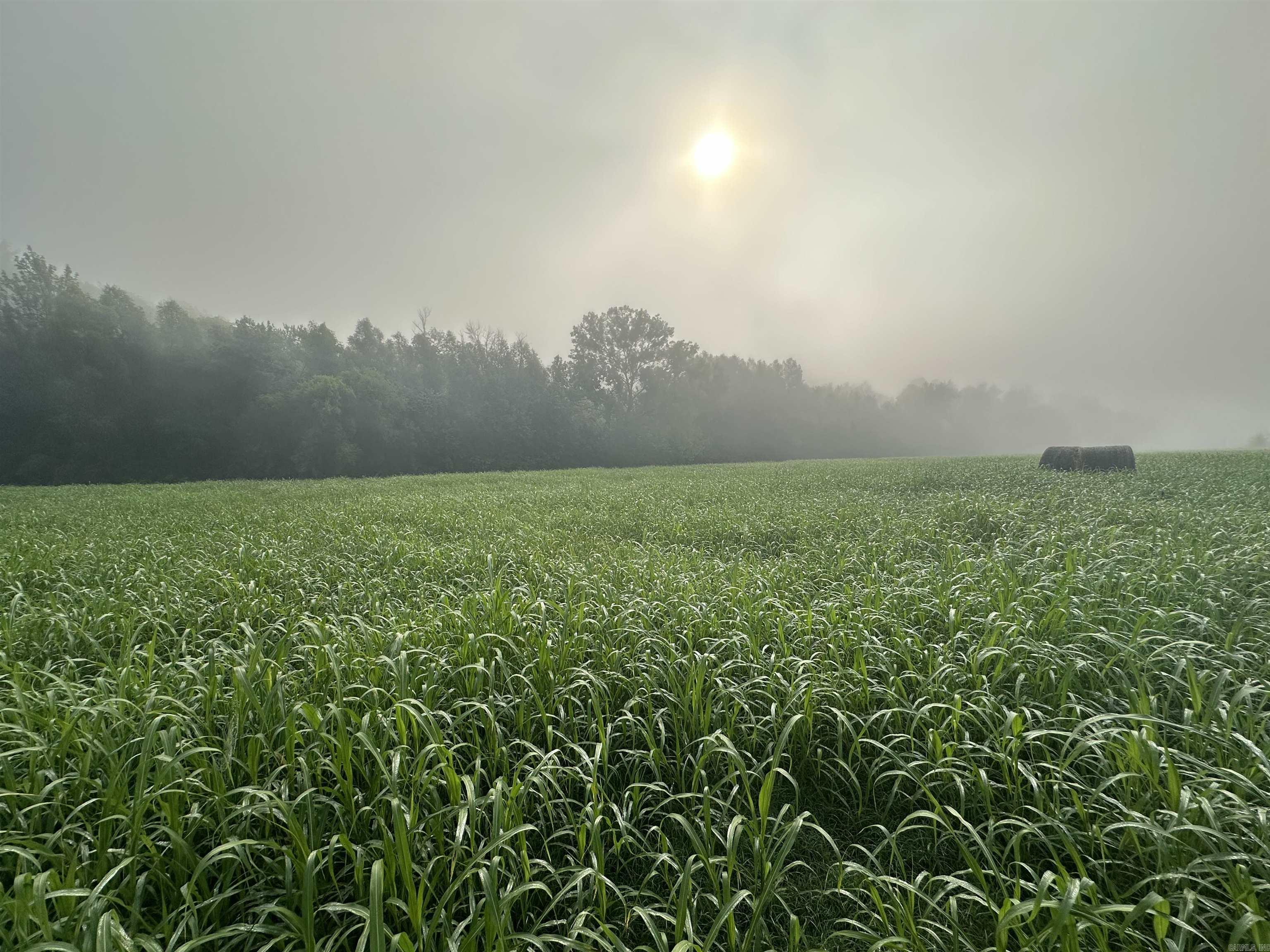 White River Run - Land