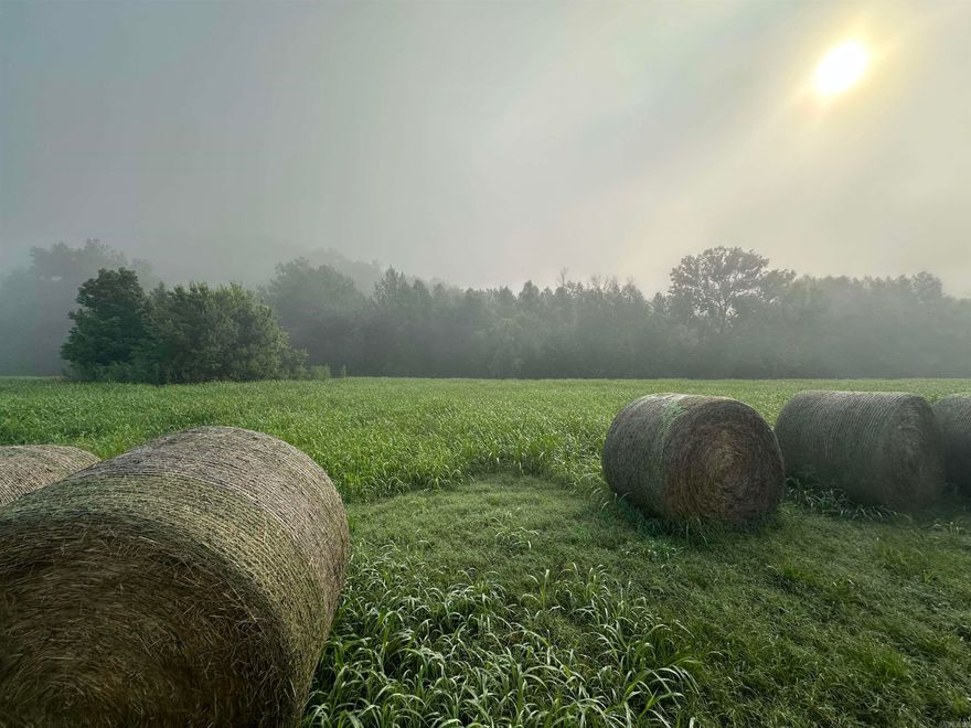 Lot 24 of White River Run is now for sale in Guion, AR. This unrestricted lot will make a great White River area home lot or permanent campsite. Campers are allowed. Electricity and water on site. This is a peaceful area with lots of great neighbors. There is an excellent public boat ramp on the White River just minutes away in Guion (see pictures).