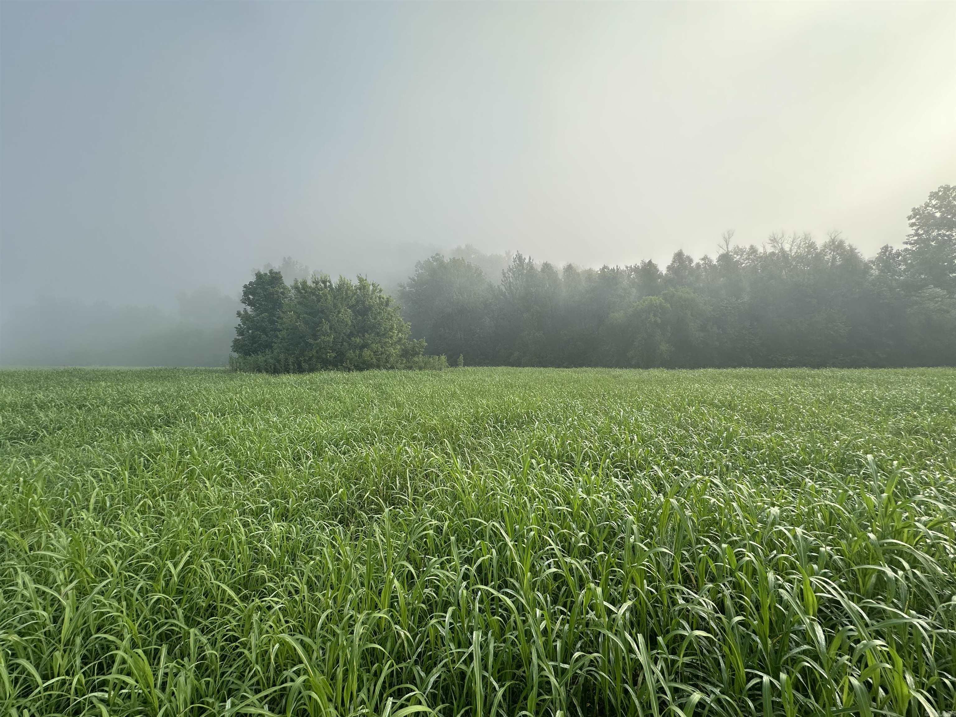 White River Run - Land