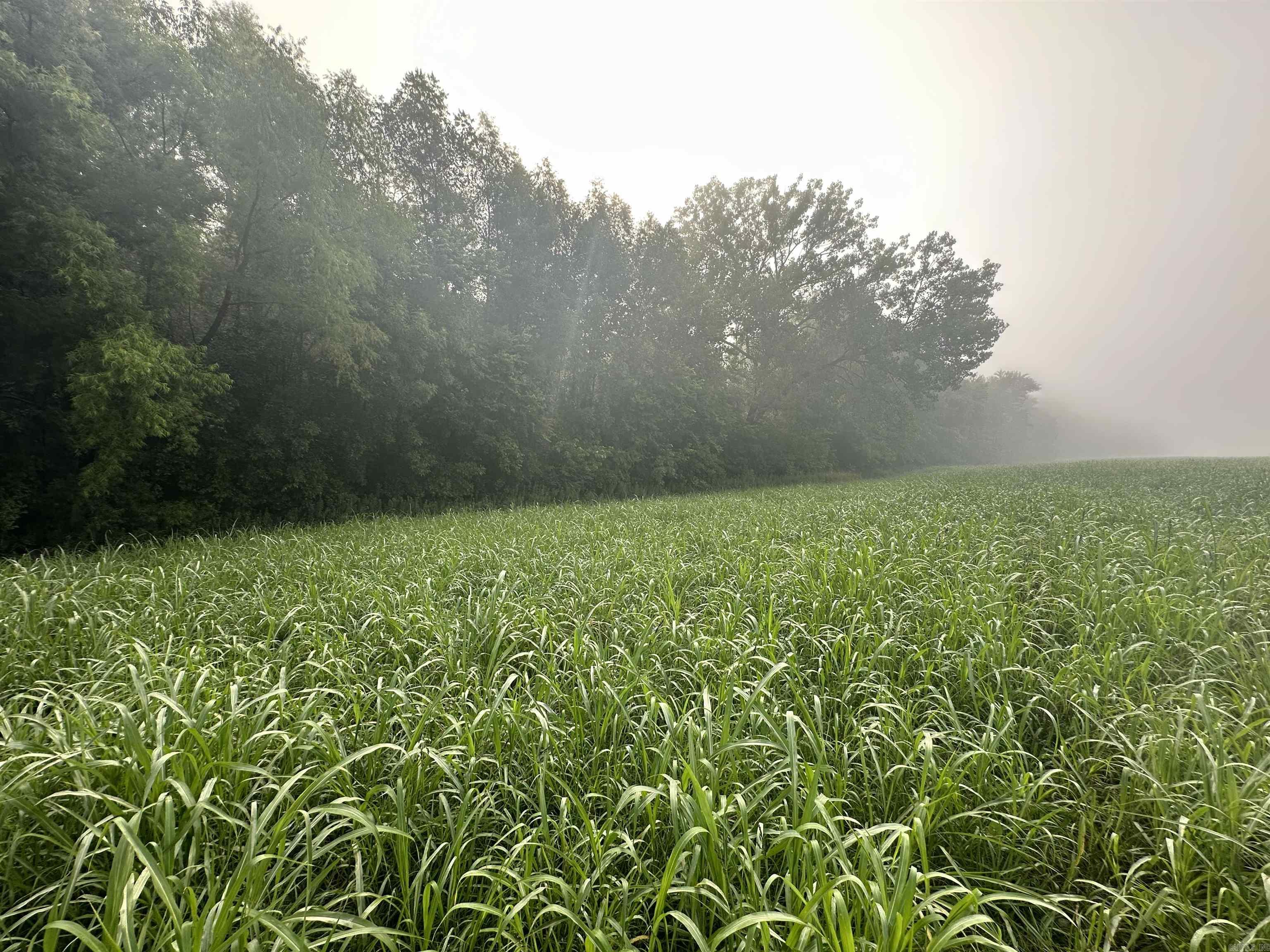 White River Run - Land