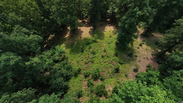 4 UPPER JANES CREEK RD, RAVENDEN SPRINGS, AR 72460 - Image 173e7416daebf6a7bbbd2d73e65af134/2138436400