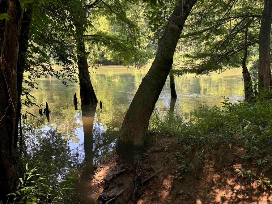 Here is a 2+- acre River Side Lot in a gated subdivision with a small wet weather creek running along one side of the acerage.  Heavily wooded with plenty of level space for a Cabin.  The neighborhood has covenants and the owners are building new homes as time marches on.  Great views of the river, seclusion offered because of Winrock Farms owning thousands of acres on east side of neighborhood.  Mature Hardwoods are spaced evenly throughout the property providing ample shade once understory has been cleared.