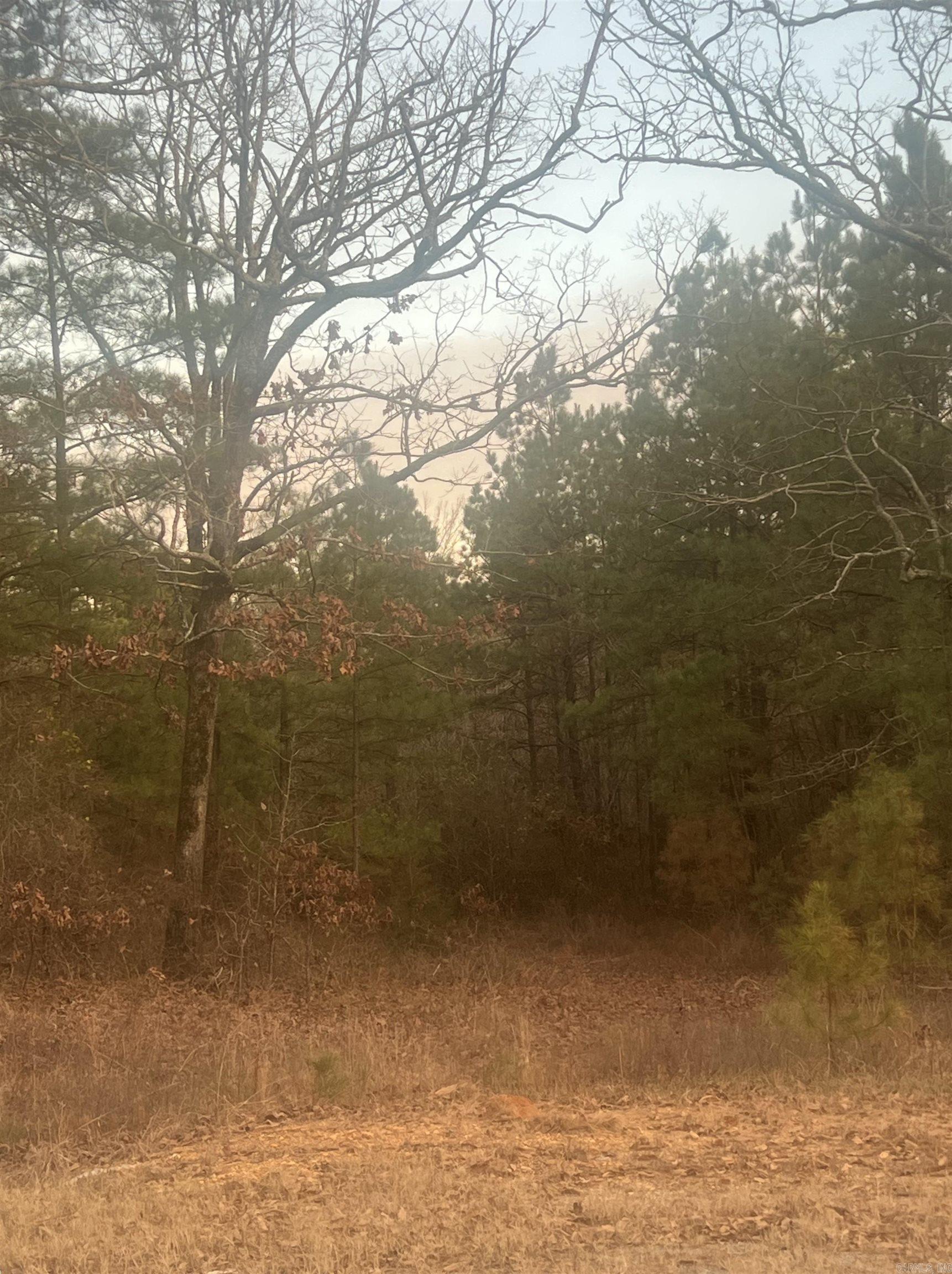 Excellent investment property for builders or your own country retreat. Property has road frontage on Hwy 128 as well as Burris Loop. Electricity and water meter are on the Hwy 128 side: no septic system in place. A small creek runs through the acreage. A mobile home was there several years back. Several house places on property. Great access to Hot Springs, Malvern, Arkadelphia and the I-30 corridor. Agents see documents for survey. Property has had completed perc test in the past but will need a new one.