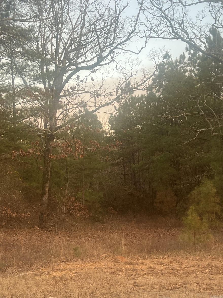 Excellent investment property for builders or your own country retreat. Property has road frontage on Hwy 128 as well as Burris Loop. Electricity and water meter are on the Hwy 128 side: no septic system in place. A small creek runs through the acreage. A mobile home was there several years back.  Several house places on property. Great access to Hot Springs, Malvern, Arkadelphia and the I-30 corridor.  Agents see documents for survey.  Property has had completed perc test in the past but will need a new one.