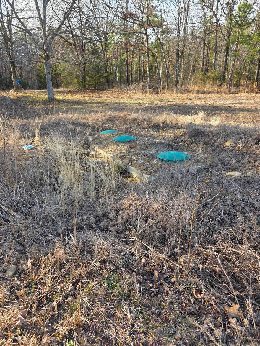 Small acreage very close to Lake Wilhelmina and the incoming bike trails! Electric and septic already on the property. Mostly level, some of it cleared.