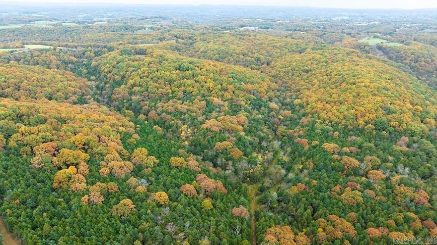 A wooded paradise offering privacy, recreation, and development potential. This lush, timber-covered tract—featuring White Oak, Red Oak, Post Oak, and more—is accessed by deeded easement just ¼ mile from a paved road. A large ridge runs through the property, creating prime hunting habitat for deer and turkey. With multiple ideal building sites and electricity nearby, it’s perfect for a dream home or cabin. Enjoy peaceful seclusion while staying close to amenities—Blue Eye, MO is just minutes away. Table Rock Lake, Cricket Creek Marina, Long Creek Marina, and Big Cedar Lodge are all nearby, offering boating, fishing, and outdoor fun. The area is known for tourism and recreational opportunities, making this property great for investment, a personal retreat, or future development. No restrictions and additional adjoining land available. Call today to schedule a private showing.