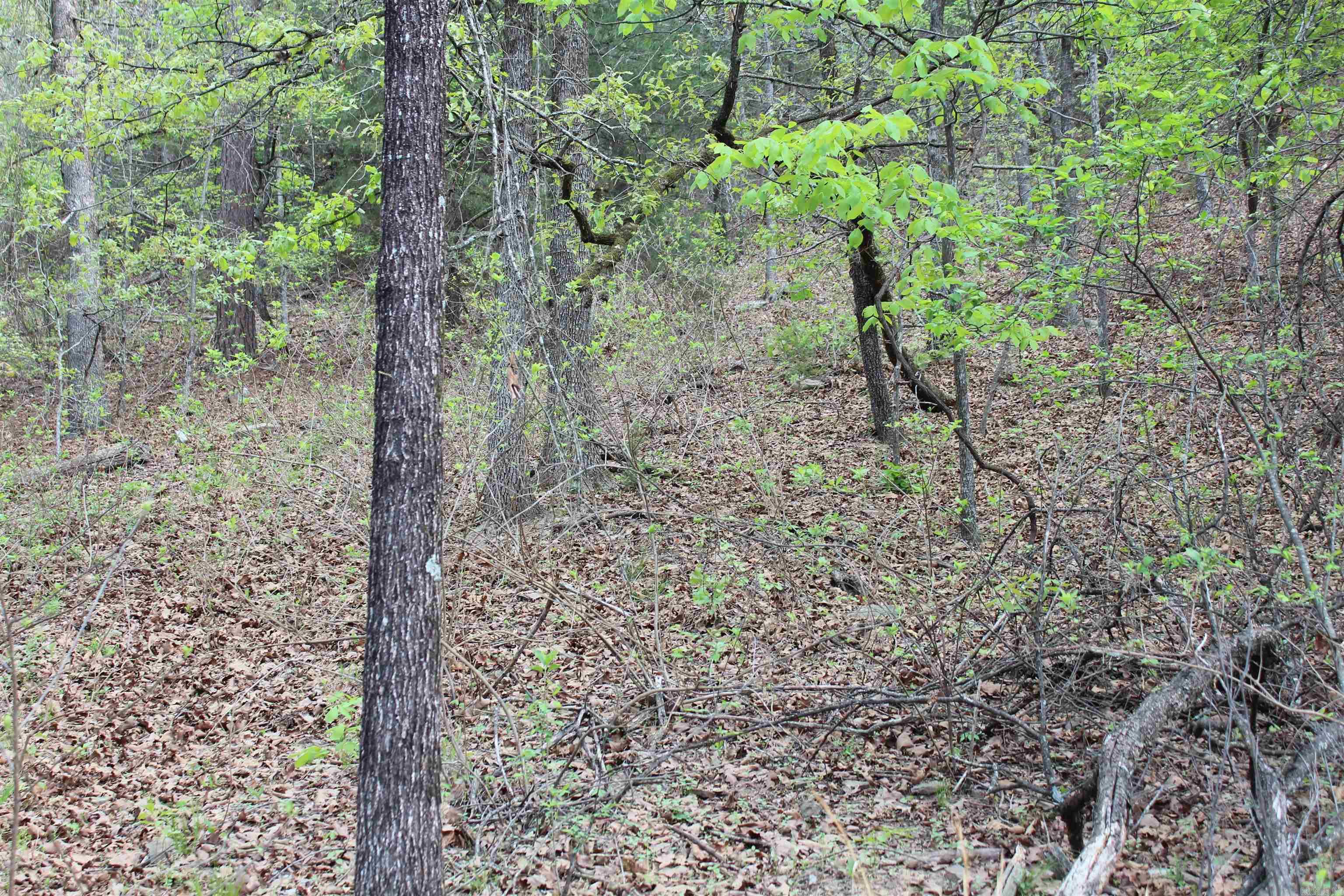 Not in Subdivision - Land