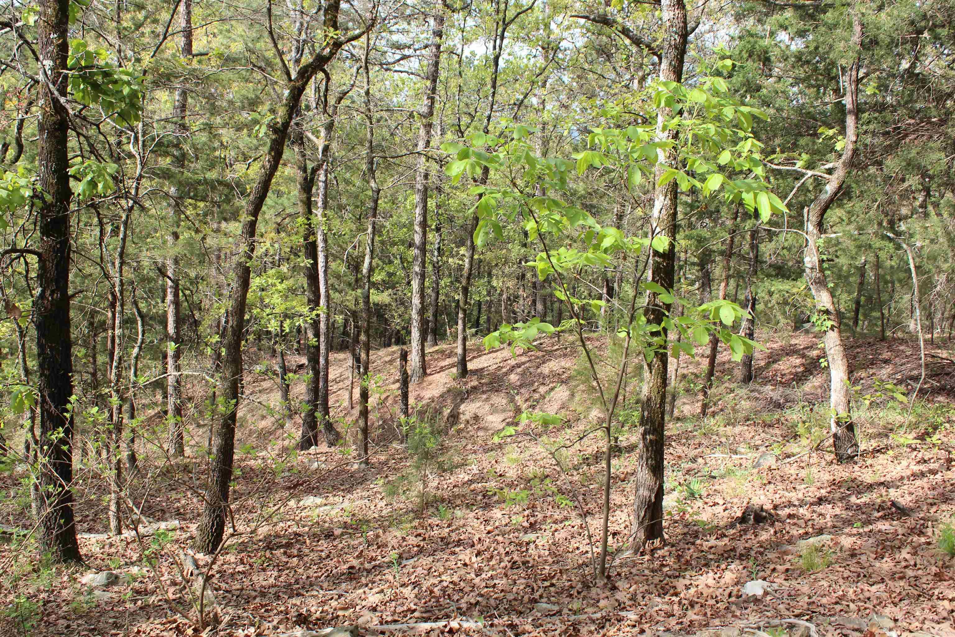 Not in Subdivision - Land