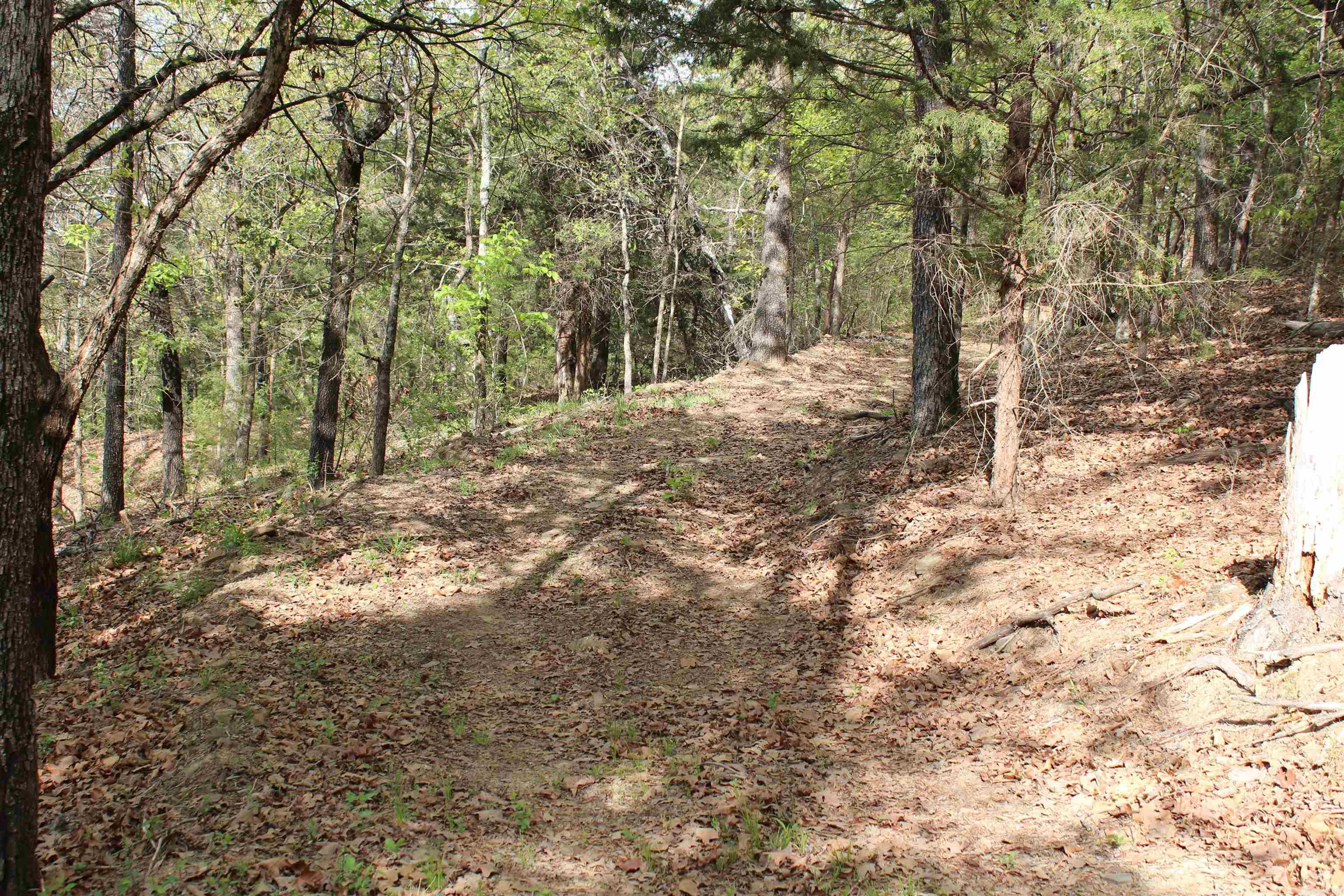 Not in Subdivision - Land