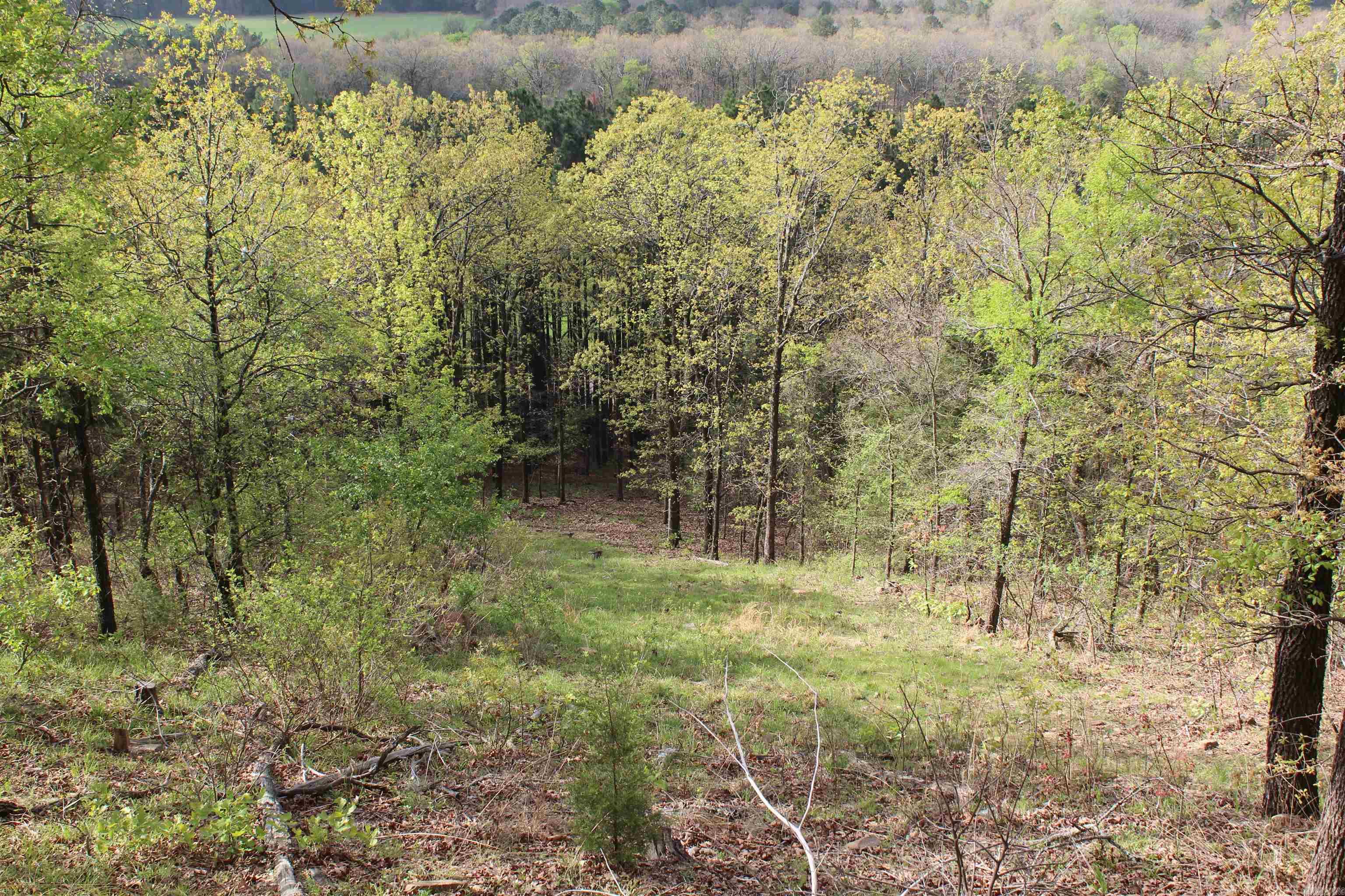 Not in Subdivision - Land