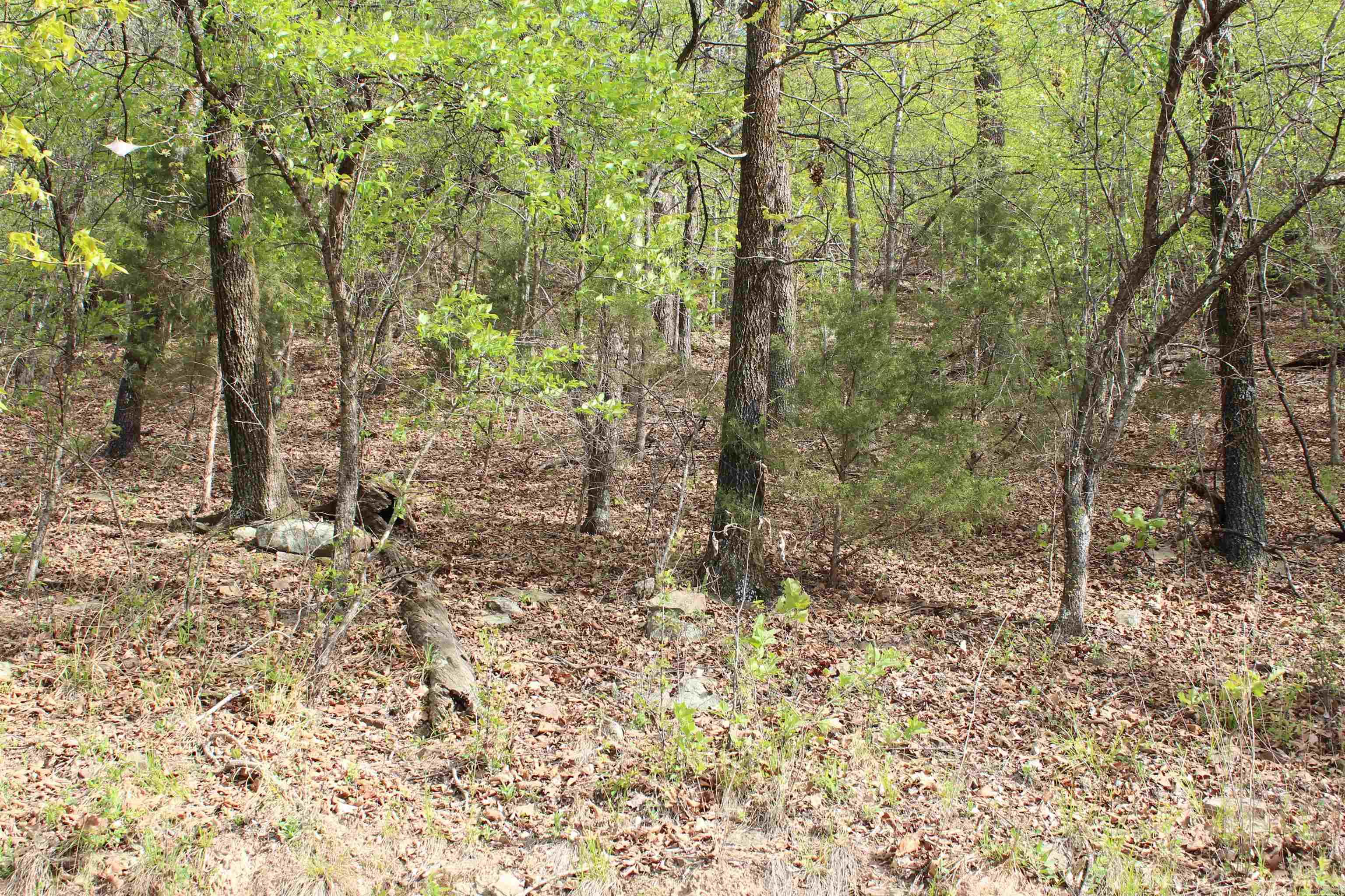 Not in Subdivision - Land