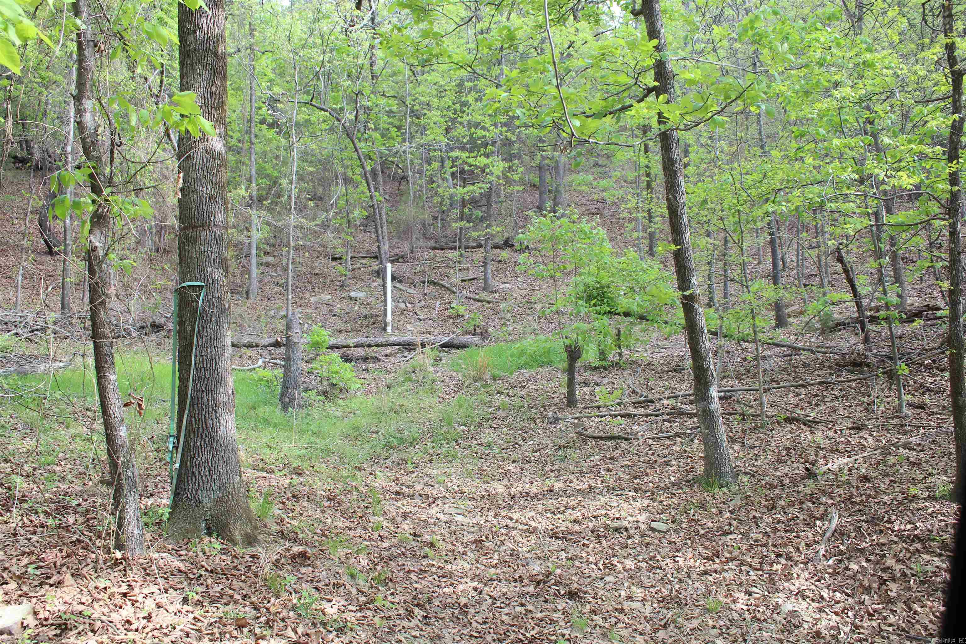 Not in Subdivision - Land