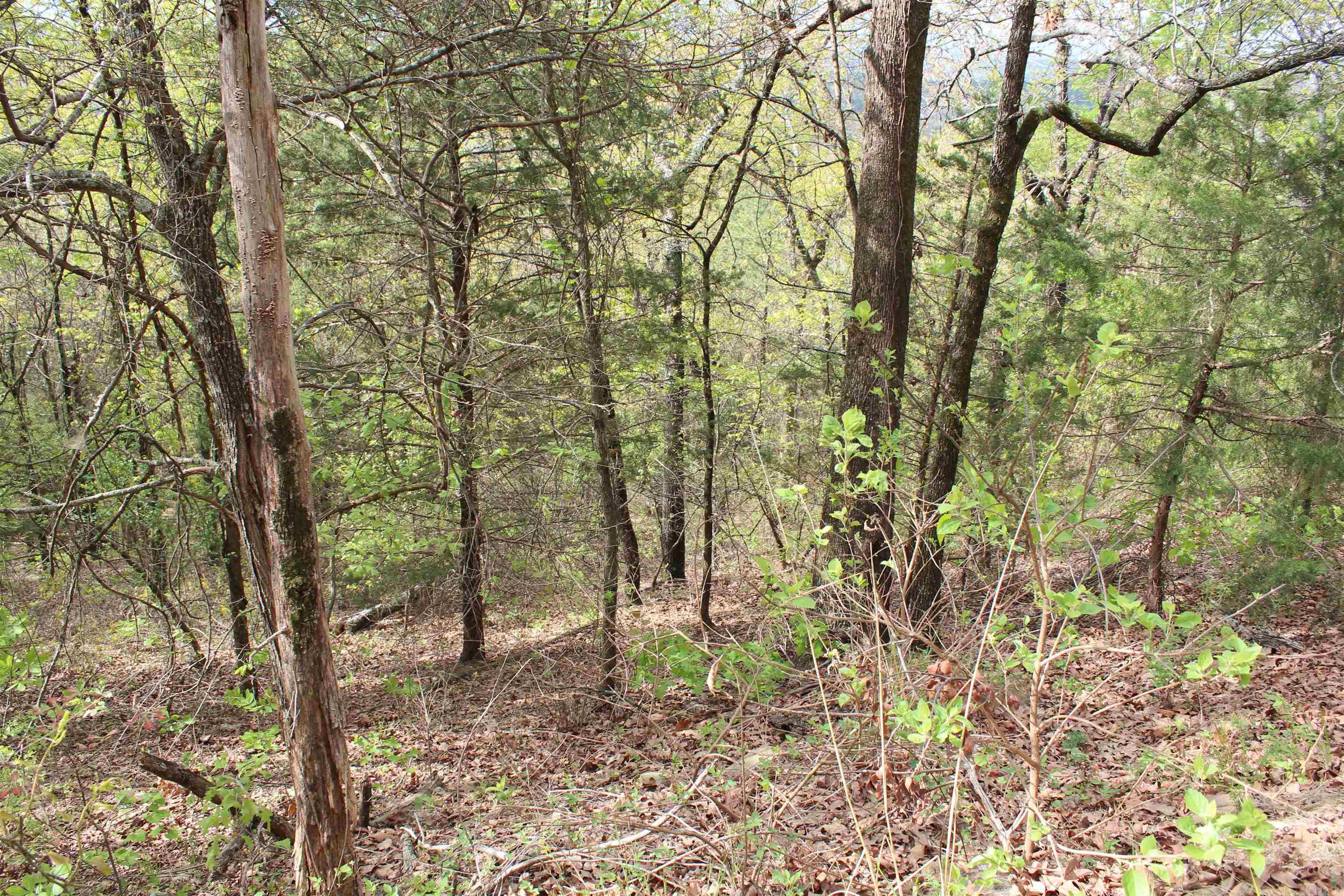 Not in Subdivision - Land