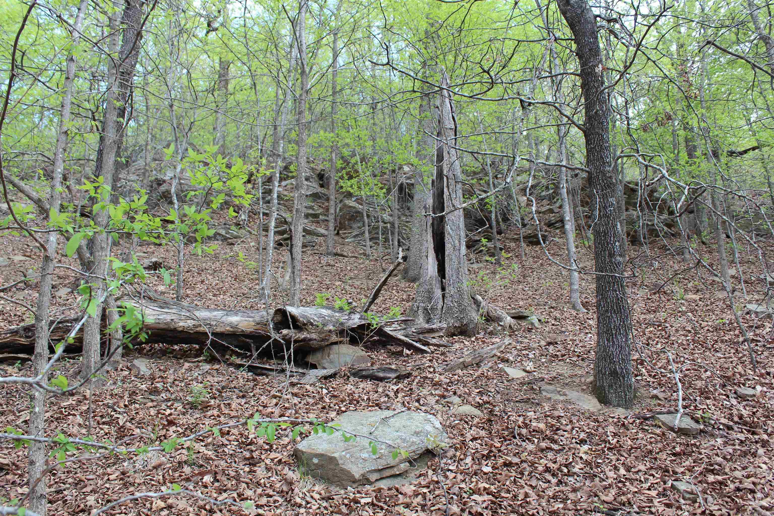 Not in Subdivision - Land